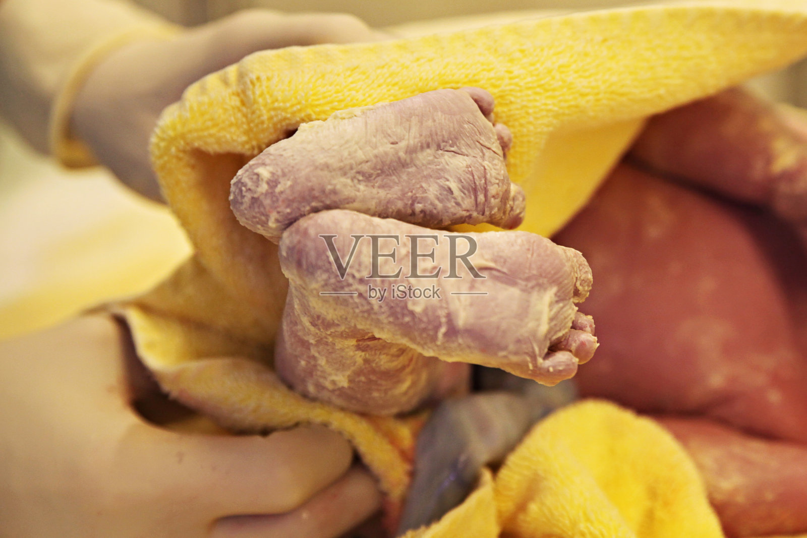 新生儿的脚照片摄影图片