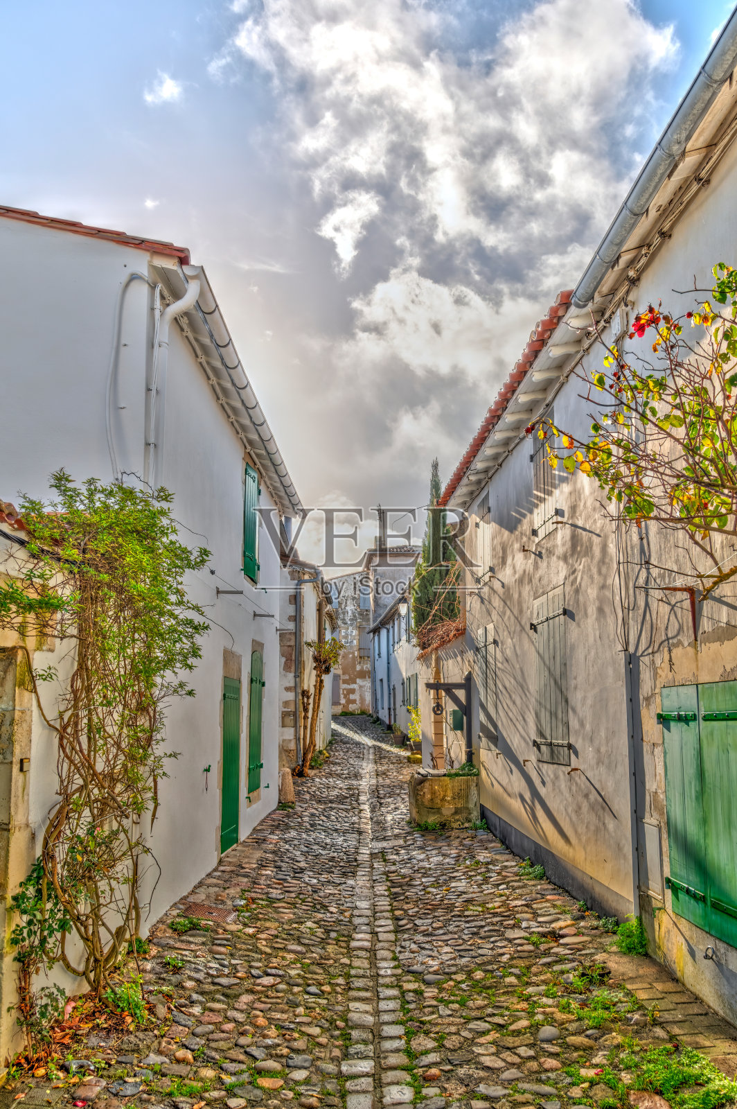 圣马丁Ré,法国照片摄影图片