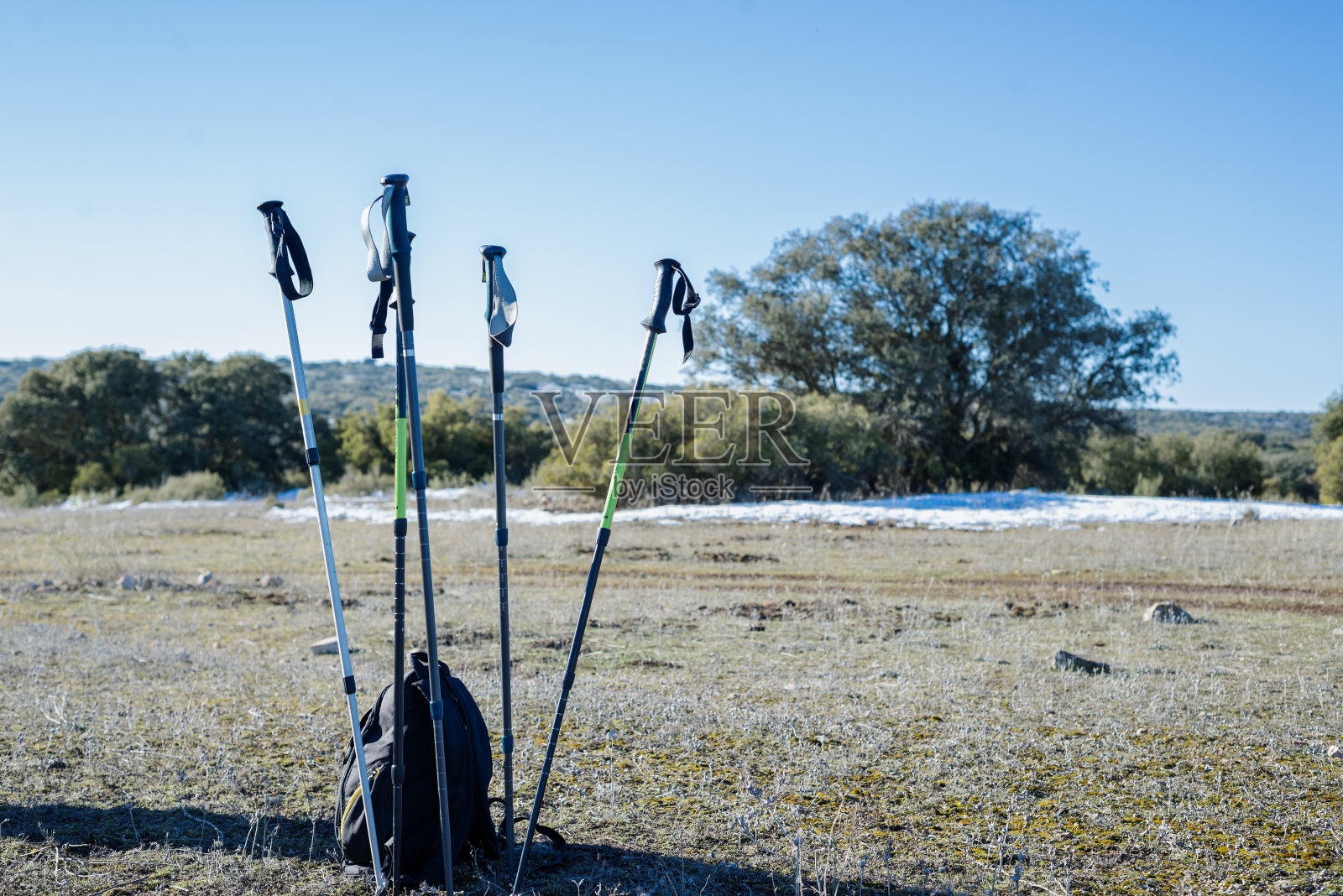 山里的一群徒步旅行的树枝。美丽动人的风景,徒步旅行和活动。照片摄影图片