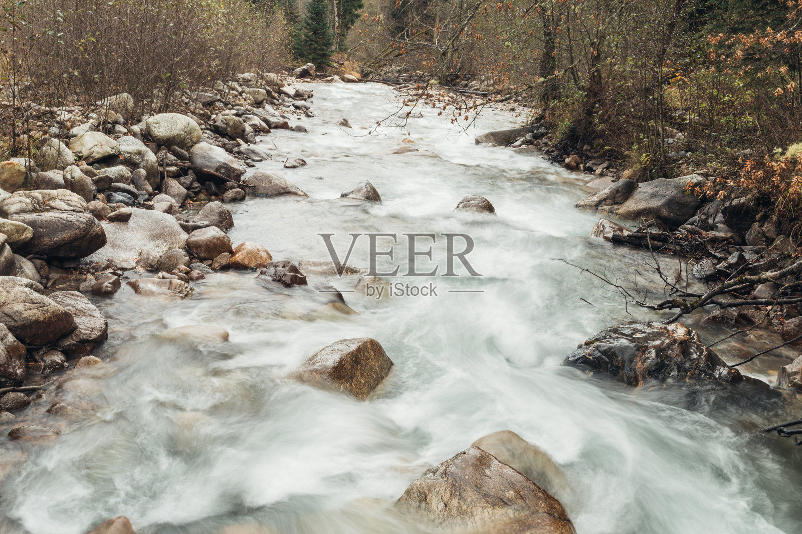 山中暴雨般清澈的河流。高原上清澈的河流。河保护区。照片摄影图片