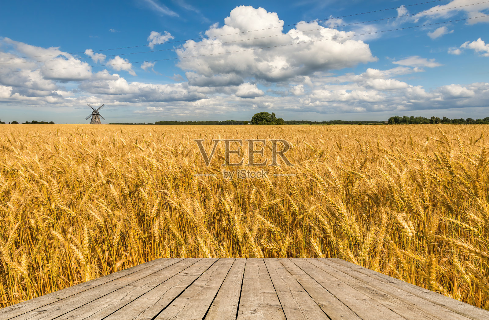 乡村景观与田野成熟的金色小麦照片摄影图片