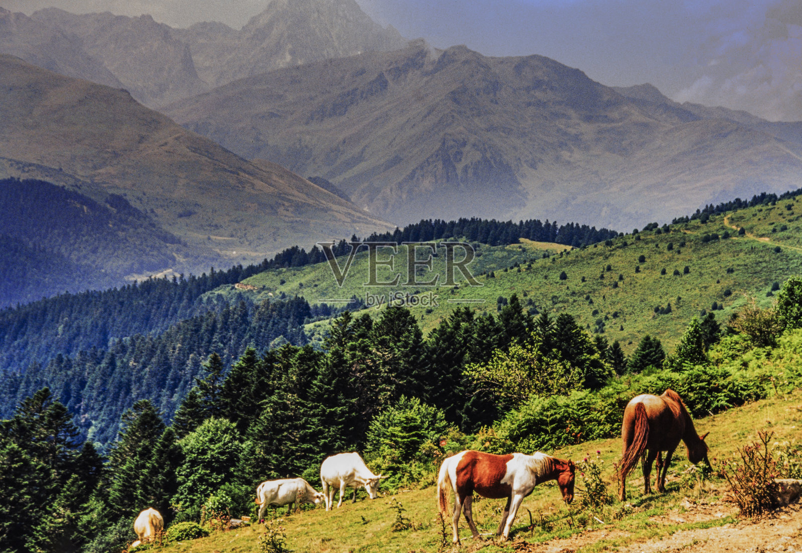 比利牛斯山脉,比利牛斯山脉,大西洋山脉,法国,欧洲照片摄影图片