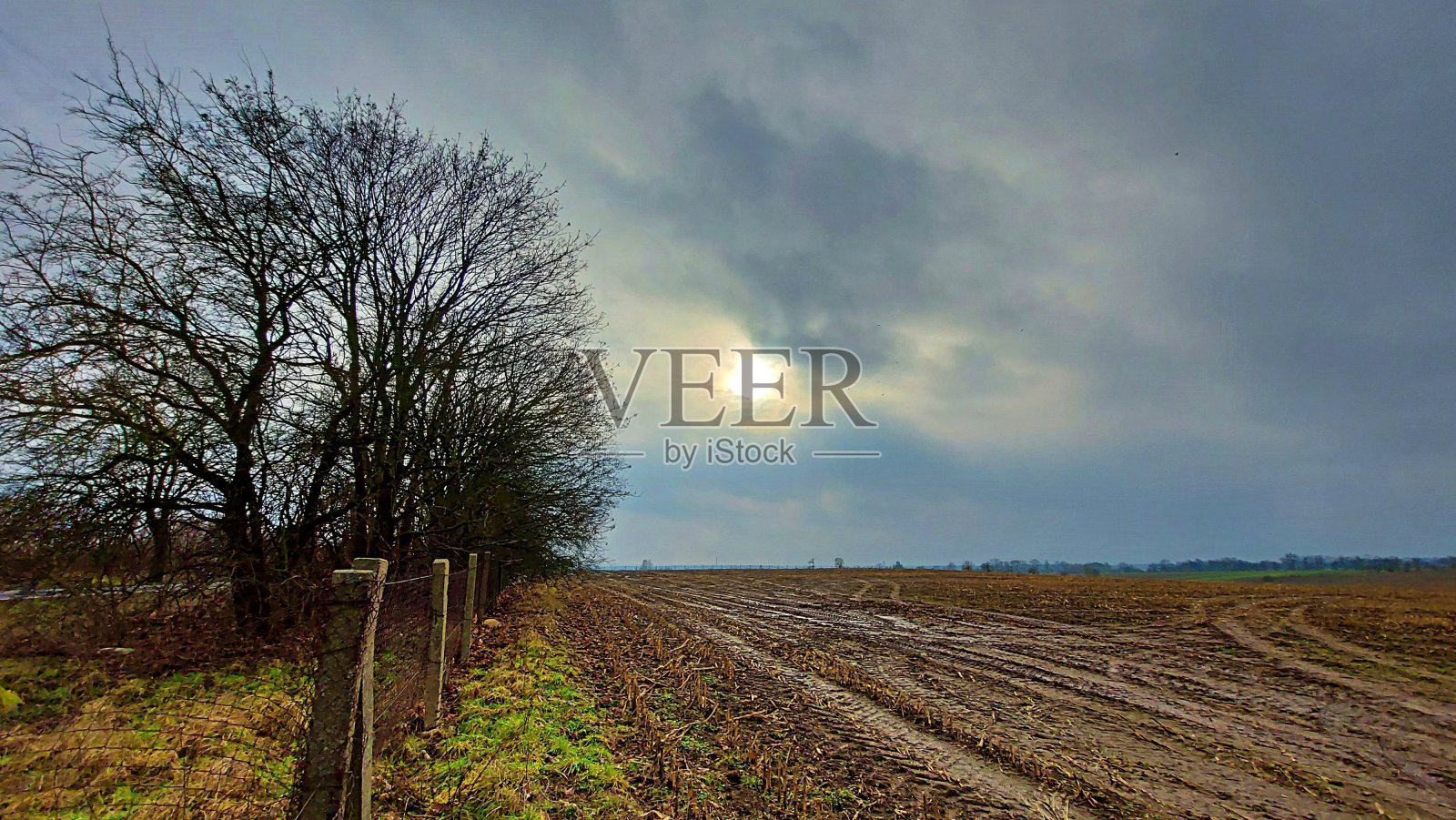 田边有篱笆照片摄影图片