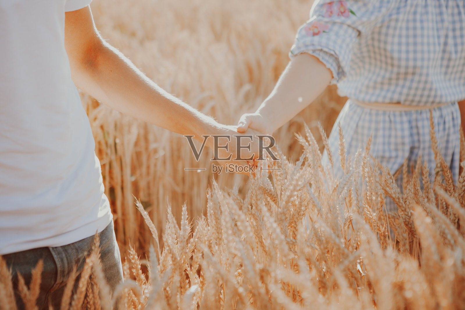 一对夫妇手牵着手一起走在大自然中。概念爱情,日期,情感。一对年轻夫妇,男人,女人,麦田照片摄影图片