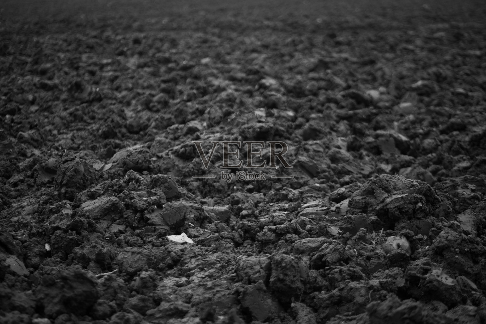 深色黑白泥生长土壤农业照片摄影图片