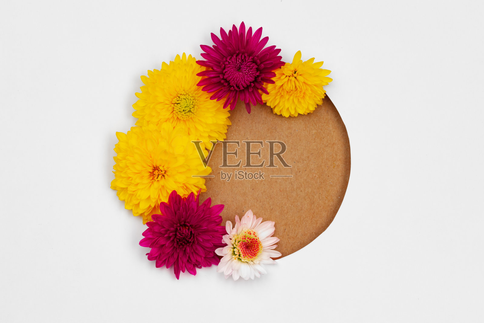 空白纸与复制空间和花蕾照片摄影图片