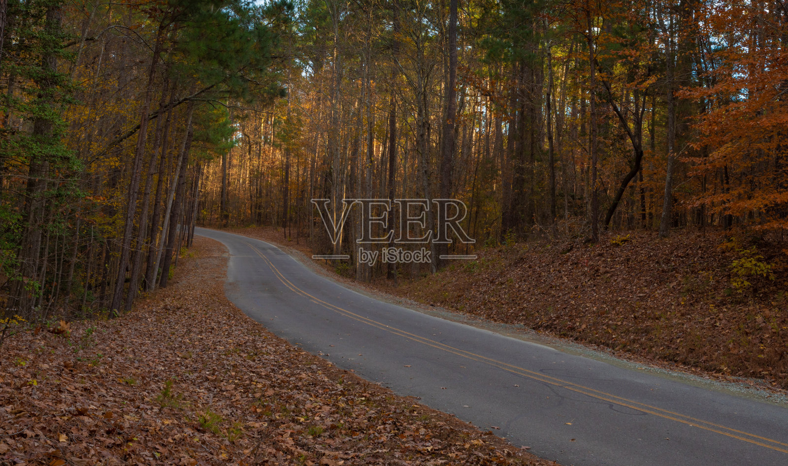 北路通往约旦湖,秋色鲜艳照片摄影图片