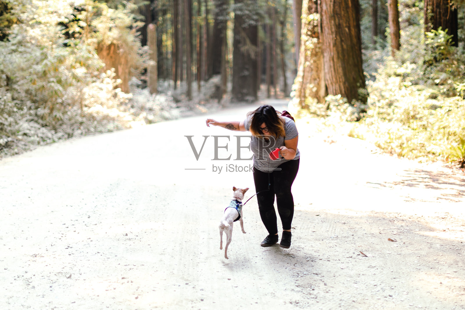 可爱的西班牙女人和狗玩照片摄影图片