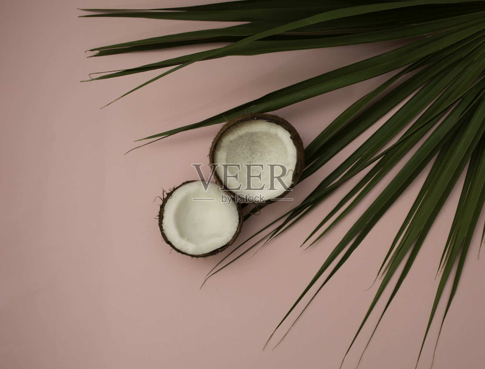 半块极简风格的椰子。照片摄影图片