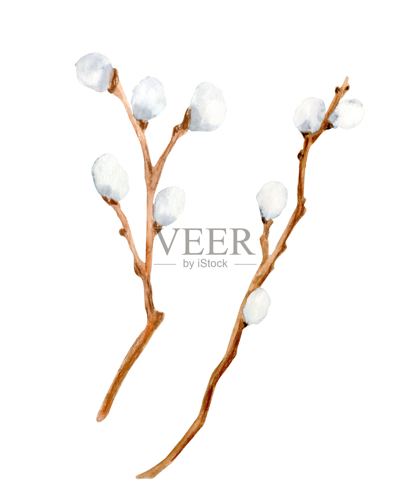 水彩猫咪柳枝套。手绘木棒卡片,请帖插画图片素材