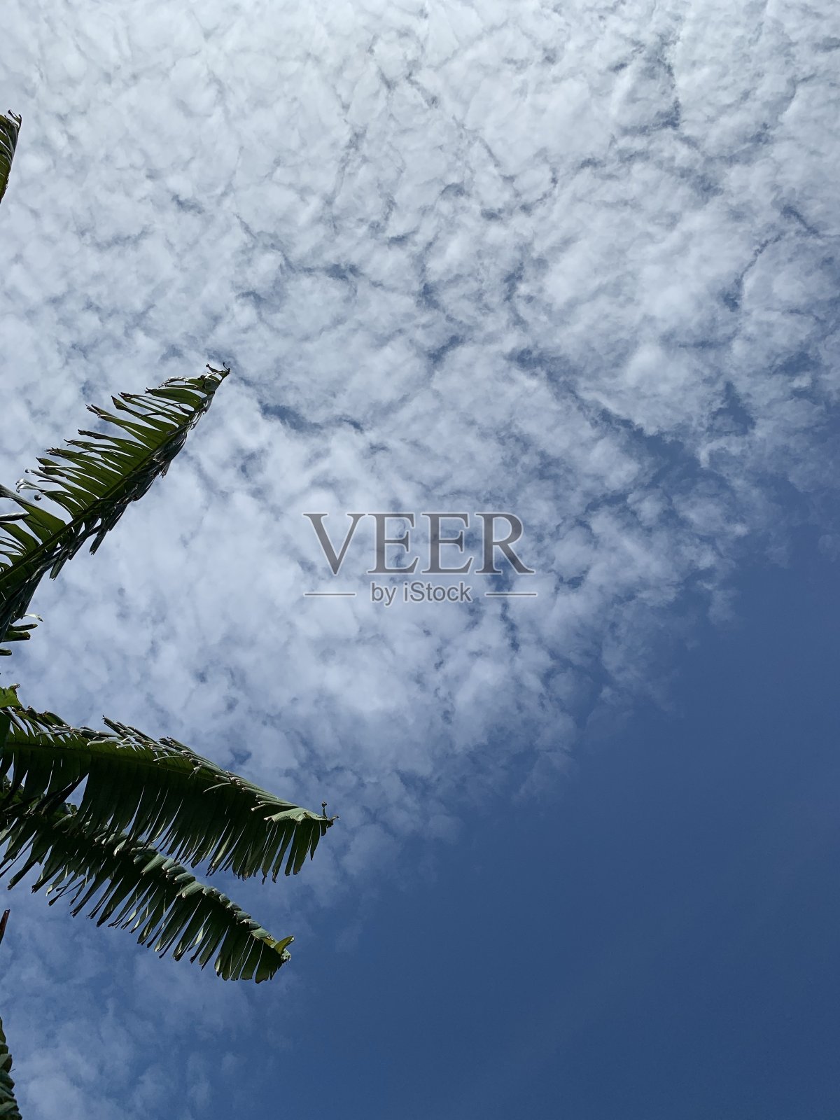 天空照片摄影图片