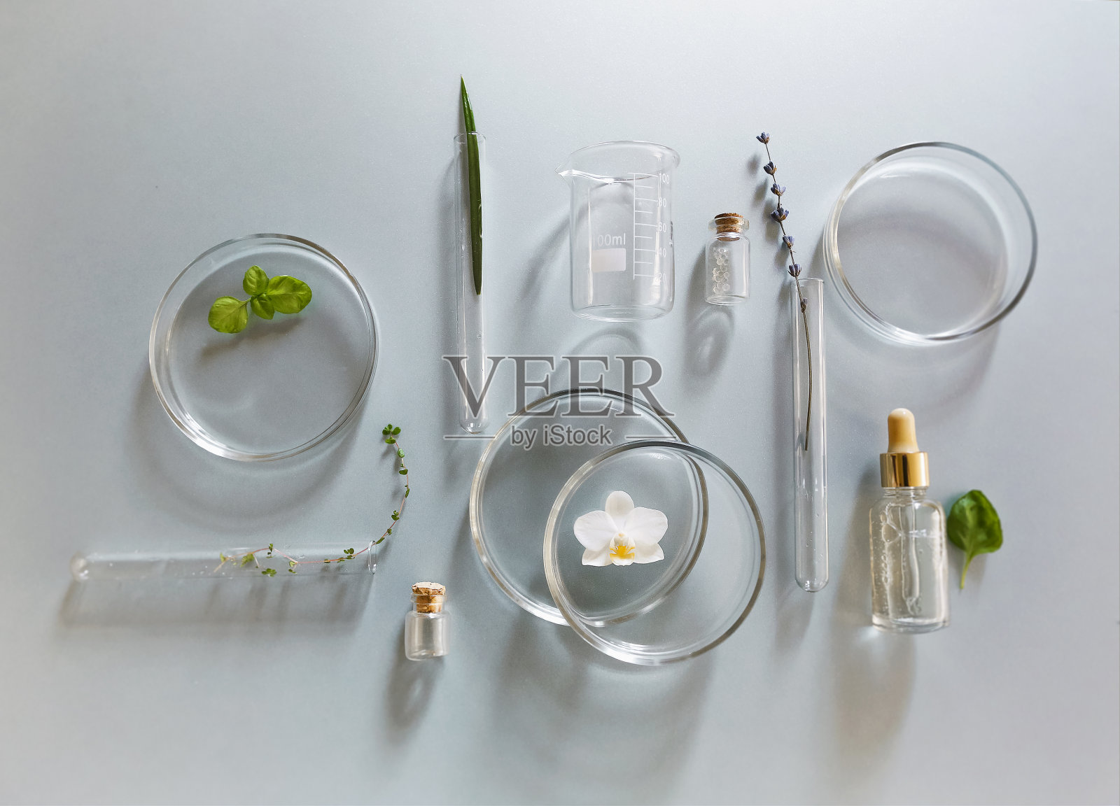 实验室桌子上一套各式各样的玻璃器皿照片摄影图片