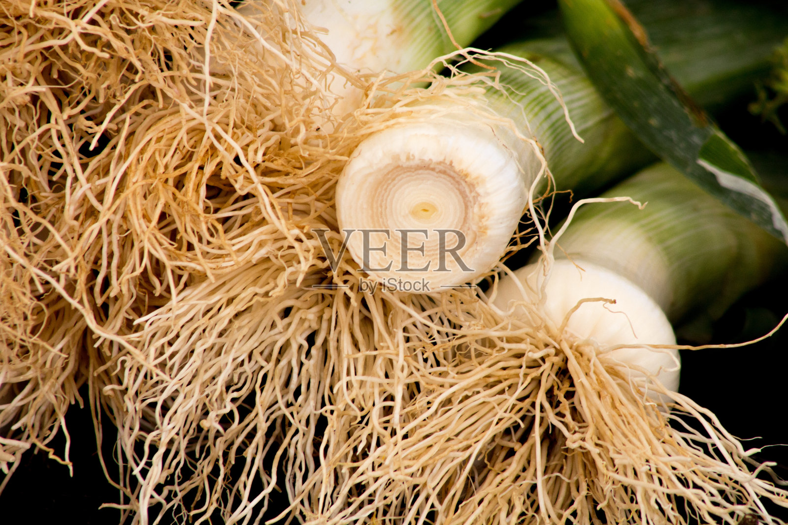 韭菜照片摄影图片