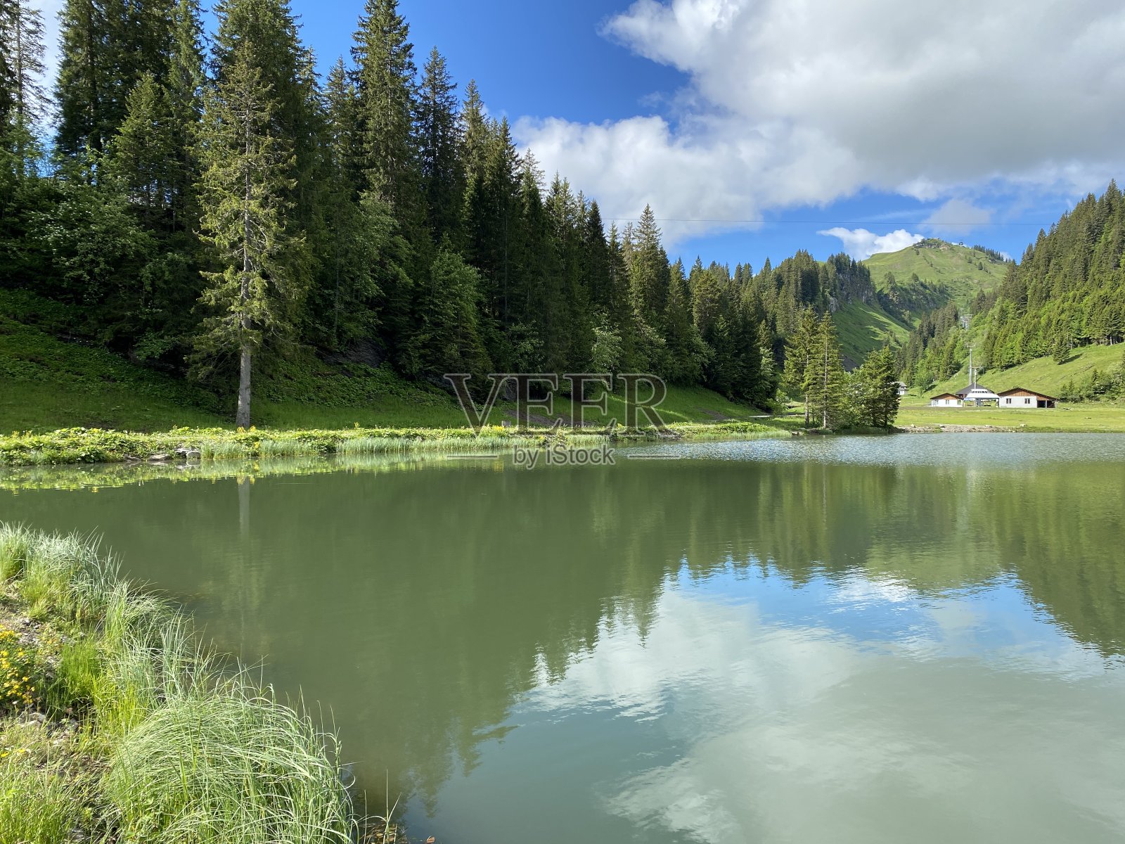 瑞士奥贝里堡施维茨州(schwez)的施维茨阿尔卑斯山脉(Schwyz Alps massif)照片摄影图片
