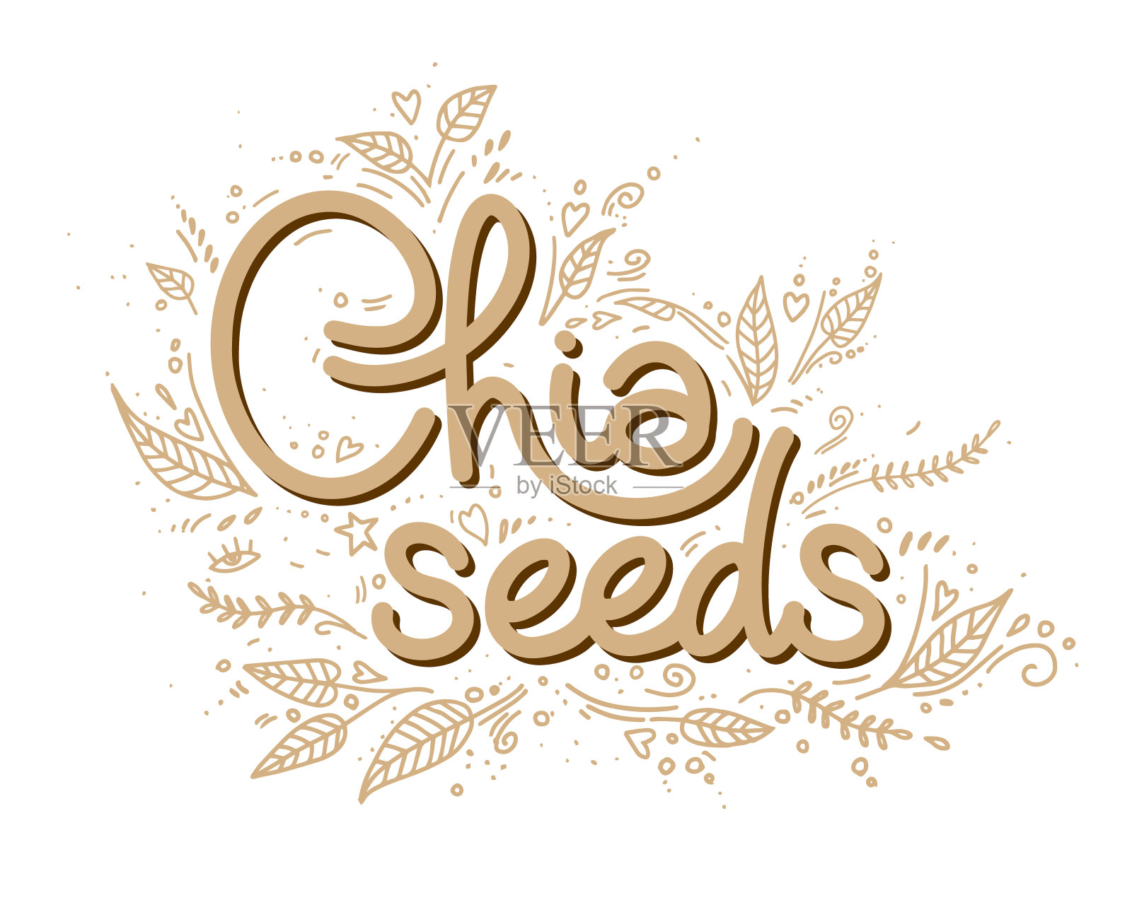 奇亚种子矢量模板手写字母与树叶在涂鸦风格。健康食品,超级食品。手工类型的包装,品牌。插画图片素材