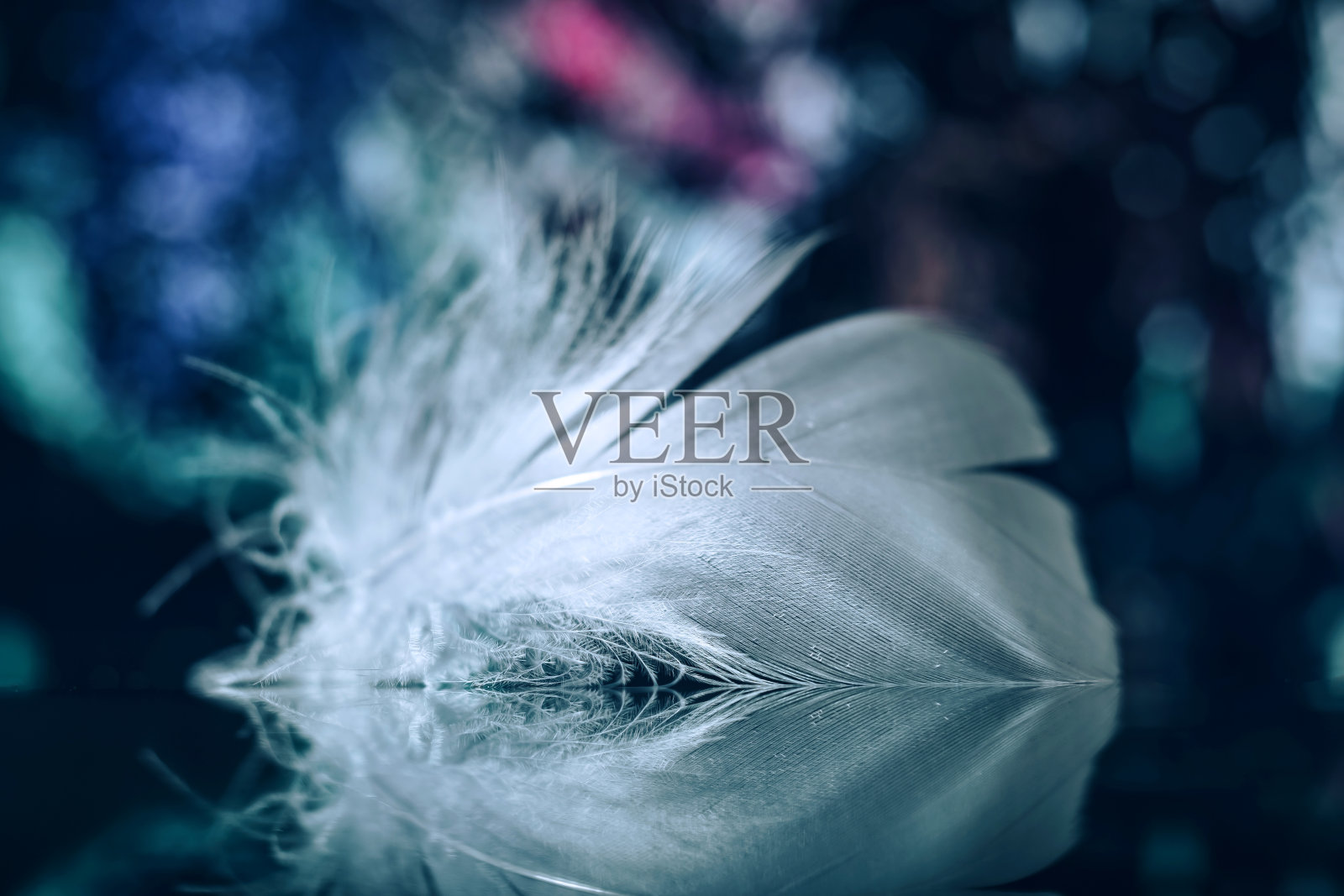 美丽的灰色鸟羽毛上的散焦背景。图案背景为设计纹理。宏观角度摄影。照片摄影图片