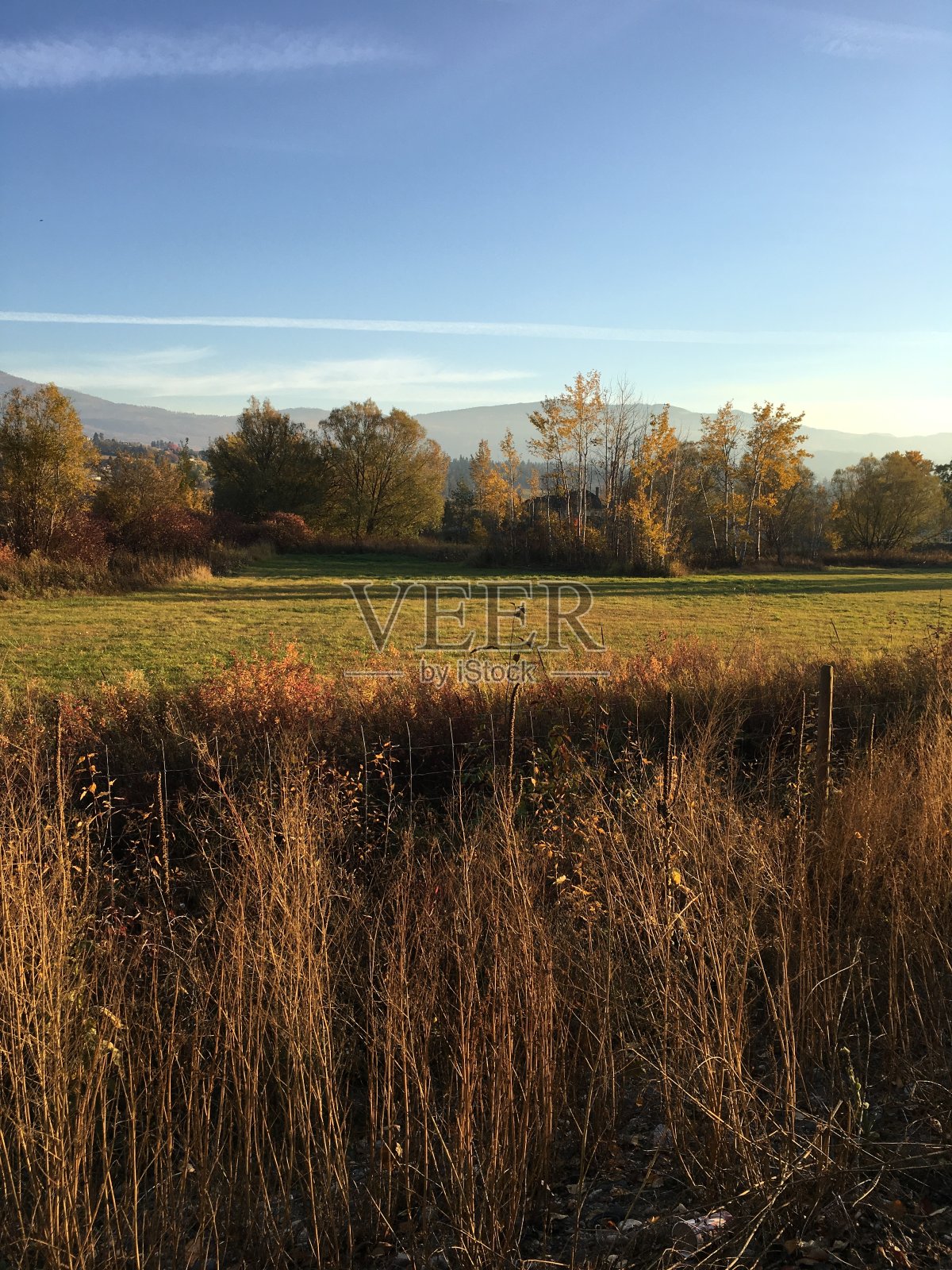 草地上的小溪在秋天的库存照片照片摄影图片
