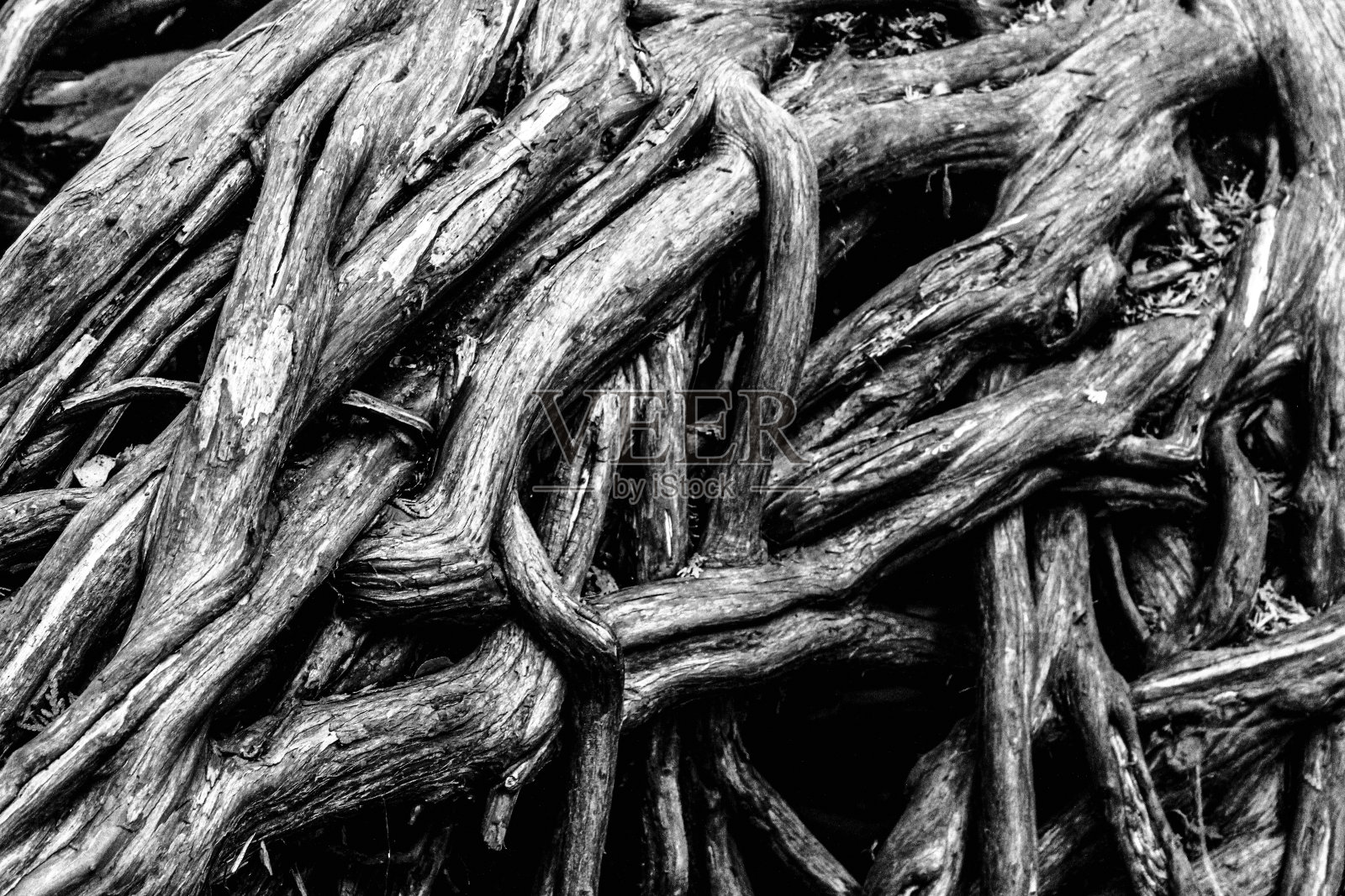 束缚我的纽带照片摄影图片