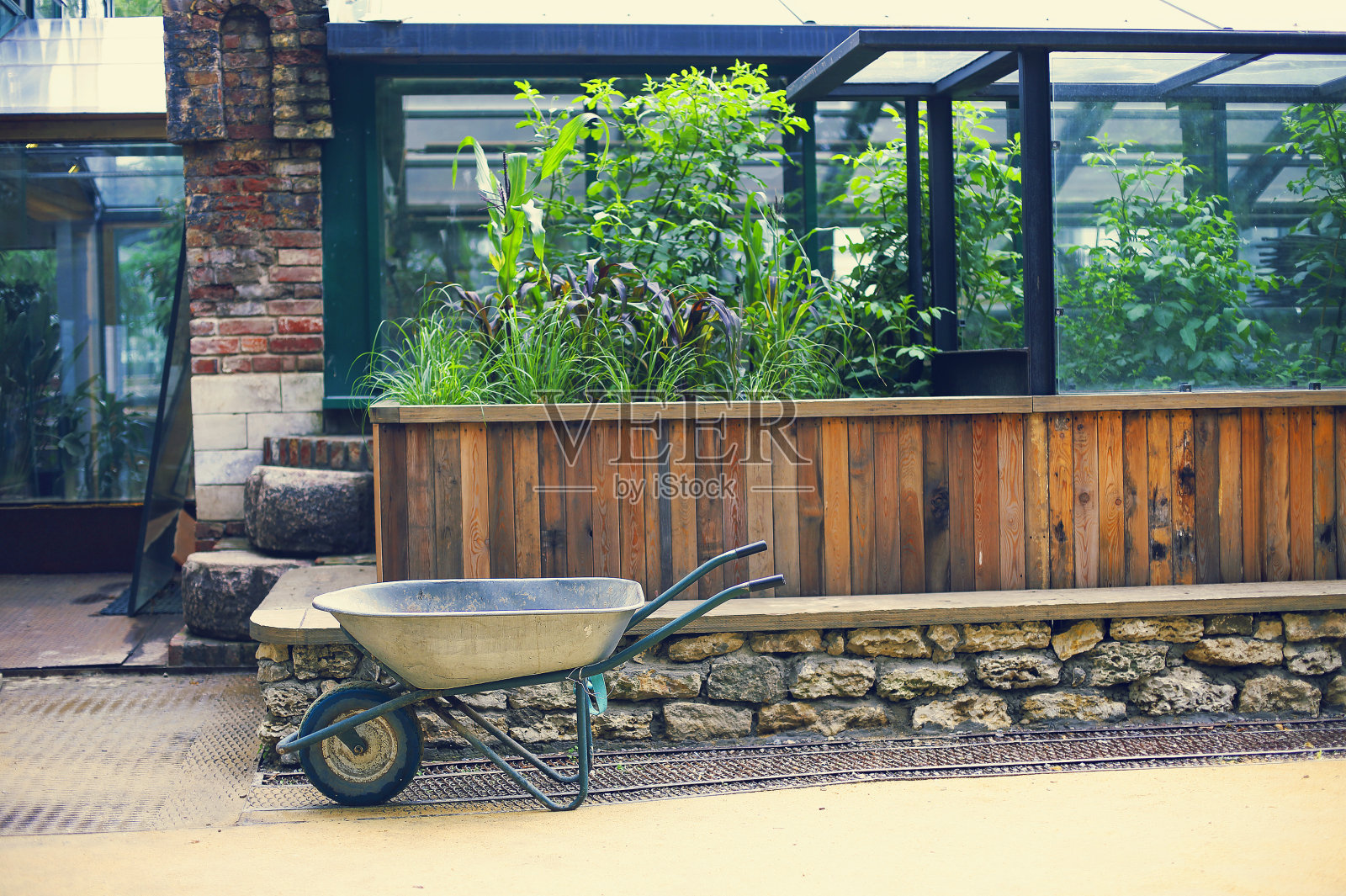 现代后院的花园手推车照片摄影图片