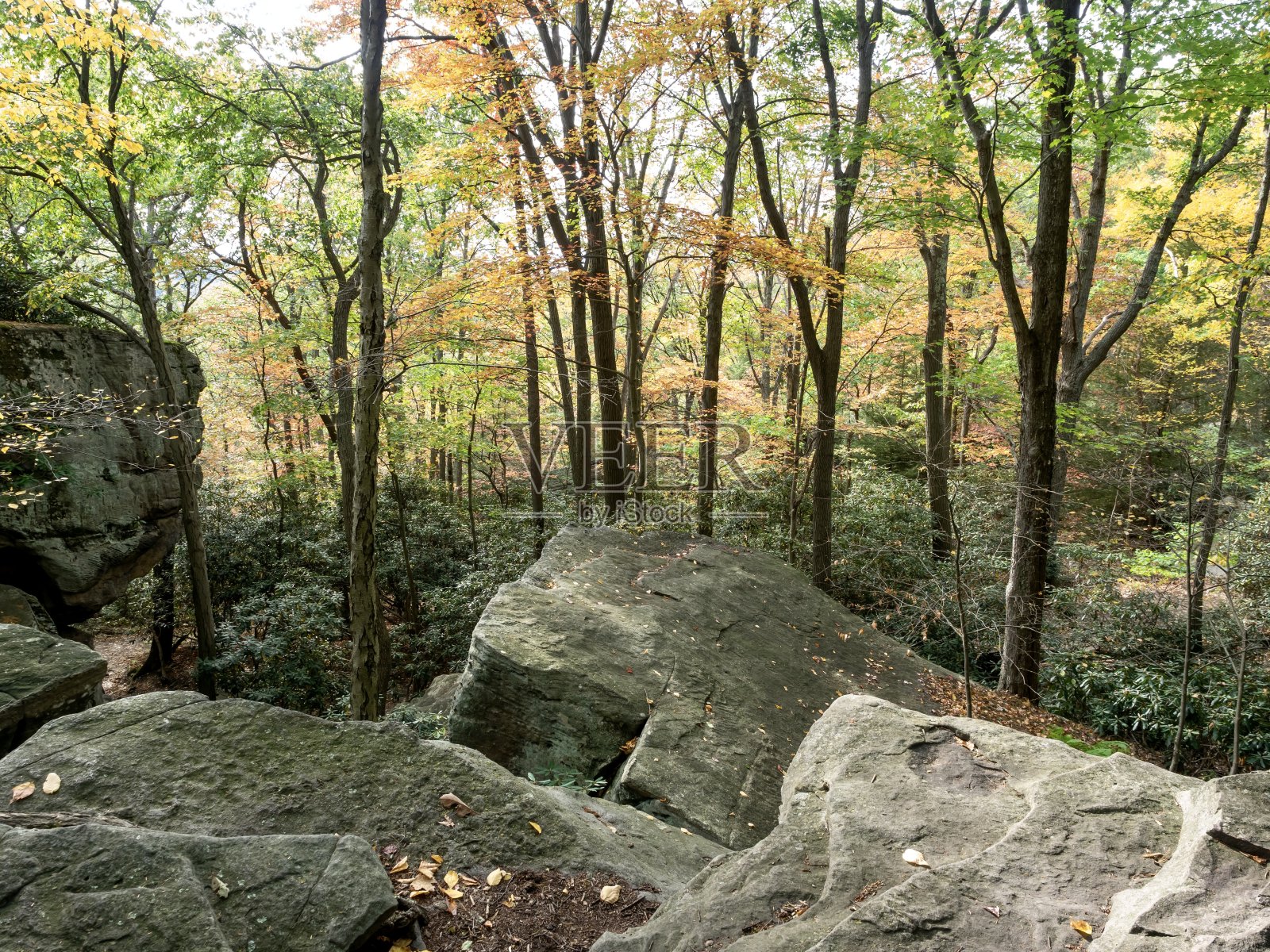 库伯斯岩石州立森林在西弗吉尼亚州的秋天与俯瞰和山树的背景,徒步小径和树木,甚至日落照片摄影图片