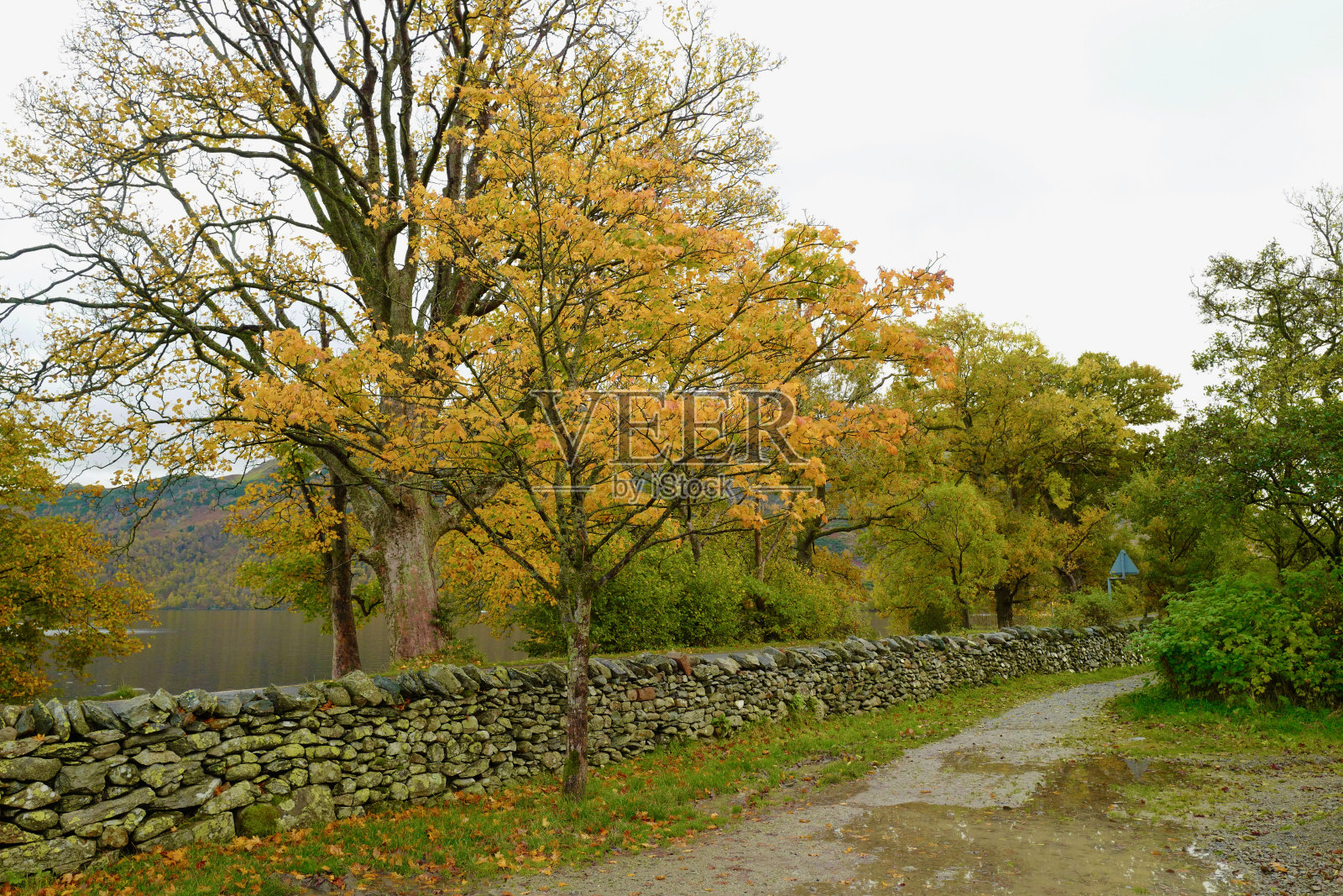 秋天在湖区照片摄影图片