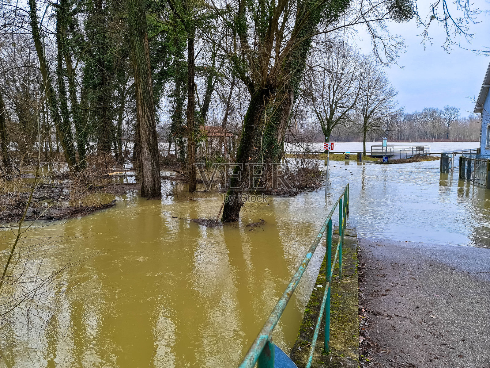 德国莱茵河泛滥平原。冬季洪水灾害。照片摄影图片