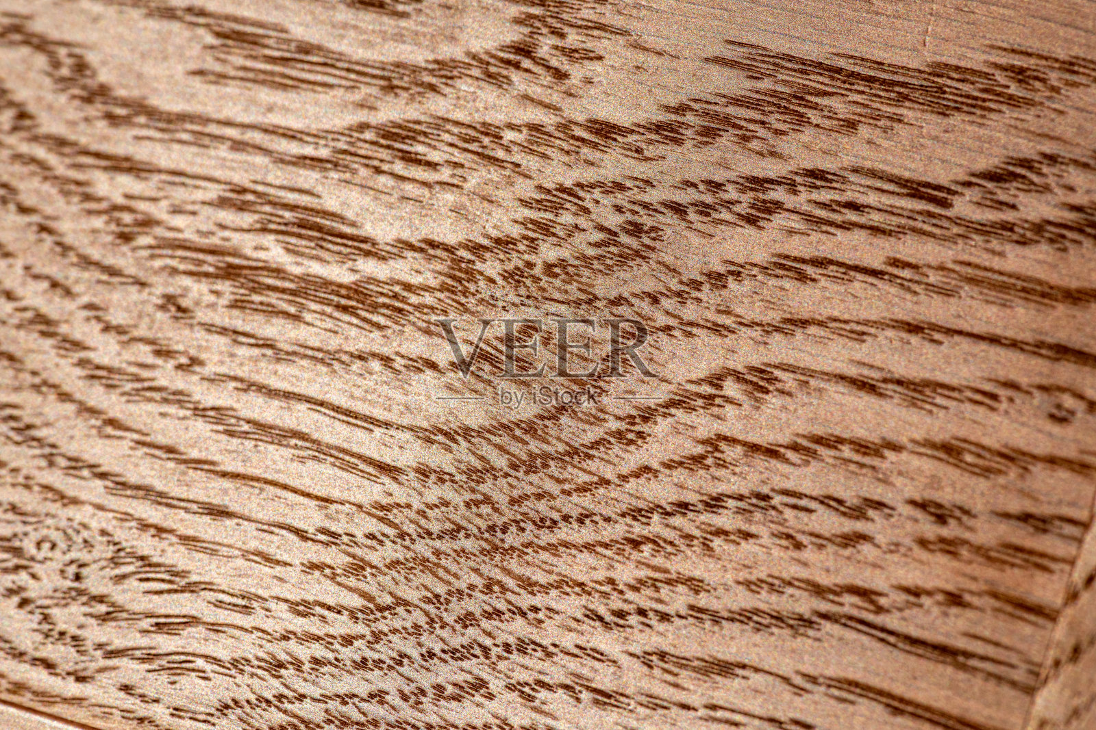 珠光透明漆。特写橡木纹理与天然木纹图案。光滑的木质表面用于立面和地板的设计。模板背景灰照片摄影图片