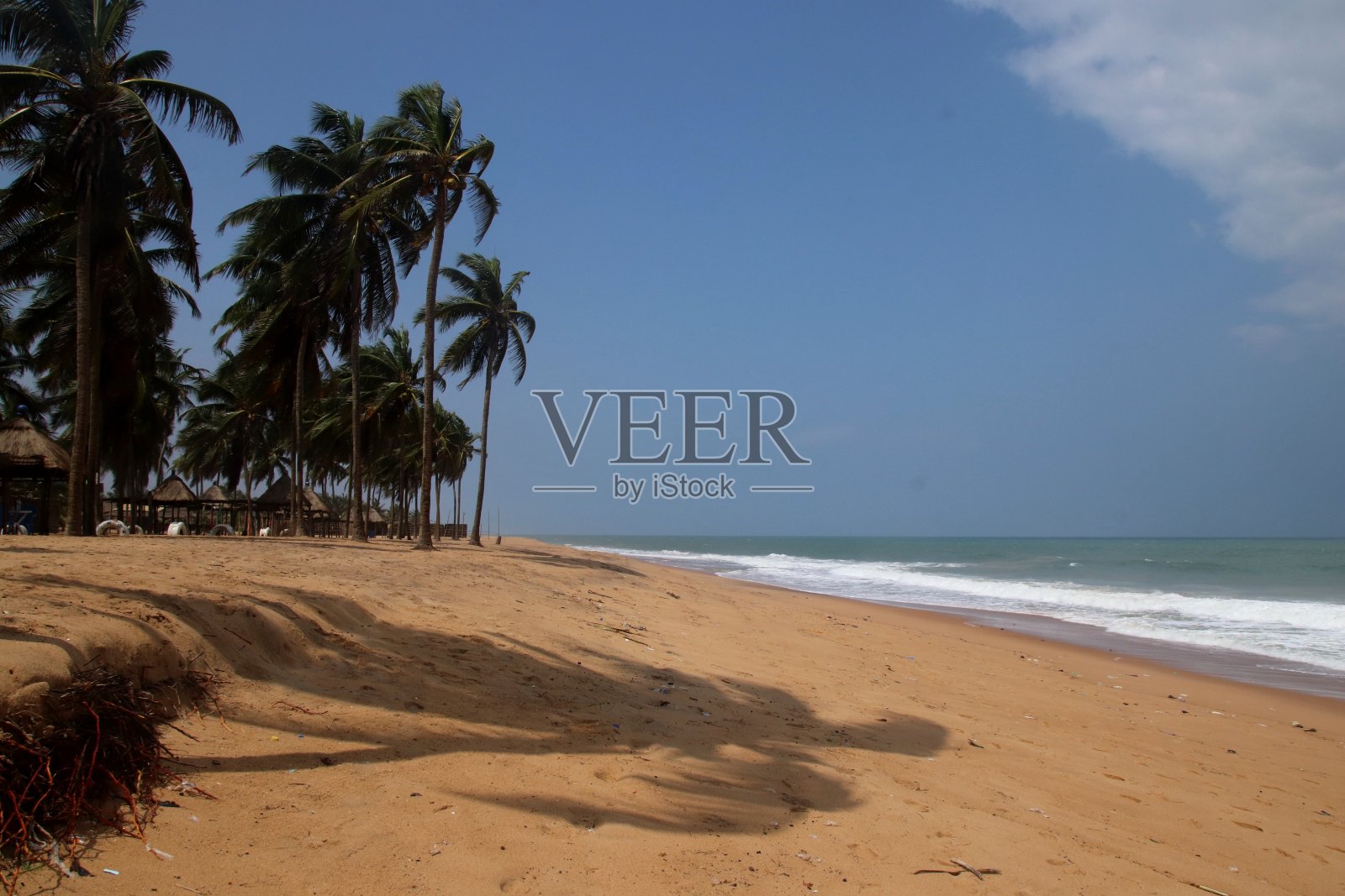 西非多哥阿韦波佐的可可海滩和椰树。照片摄影图片