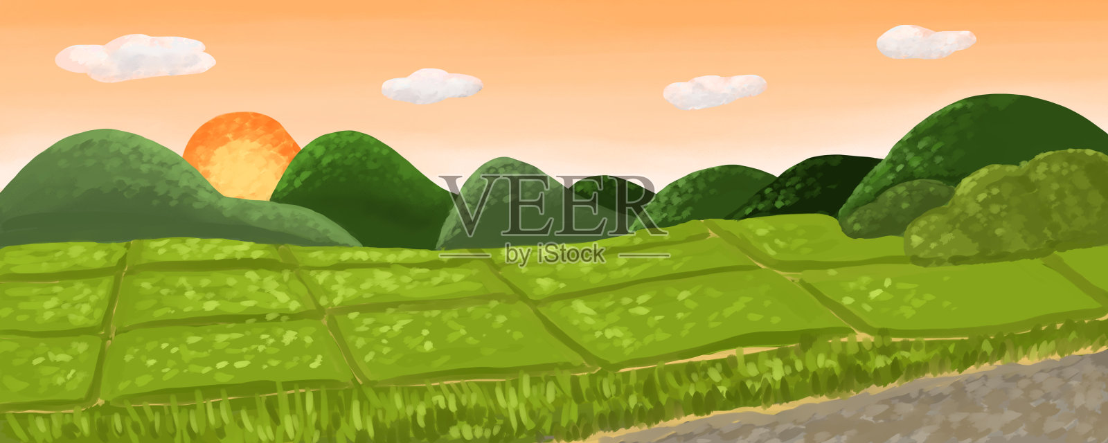 日落乡村稻田横幅全景插画图片素材