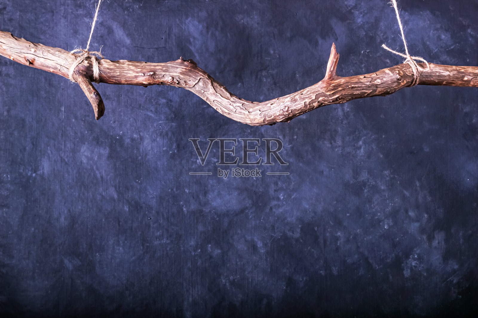 以横杆形式悬挂弯曲树枝的黑板。水平概念图像菜单餐厅或广告照片摄影图片