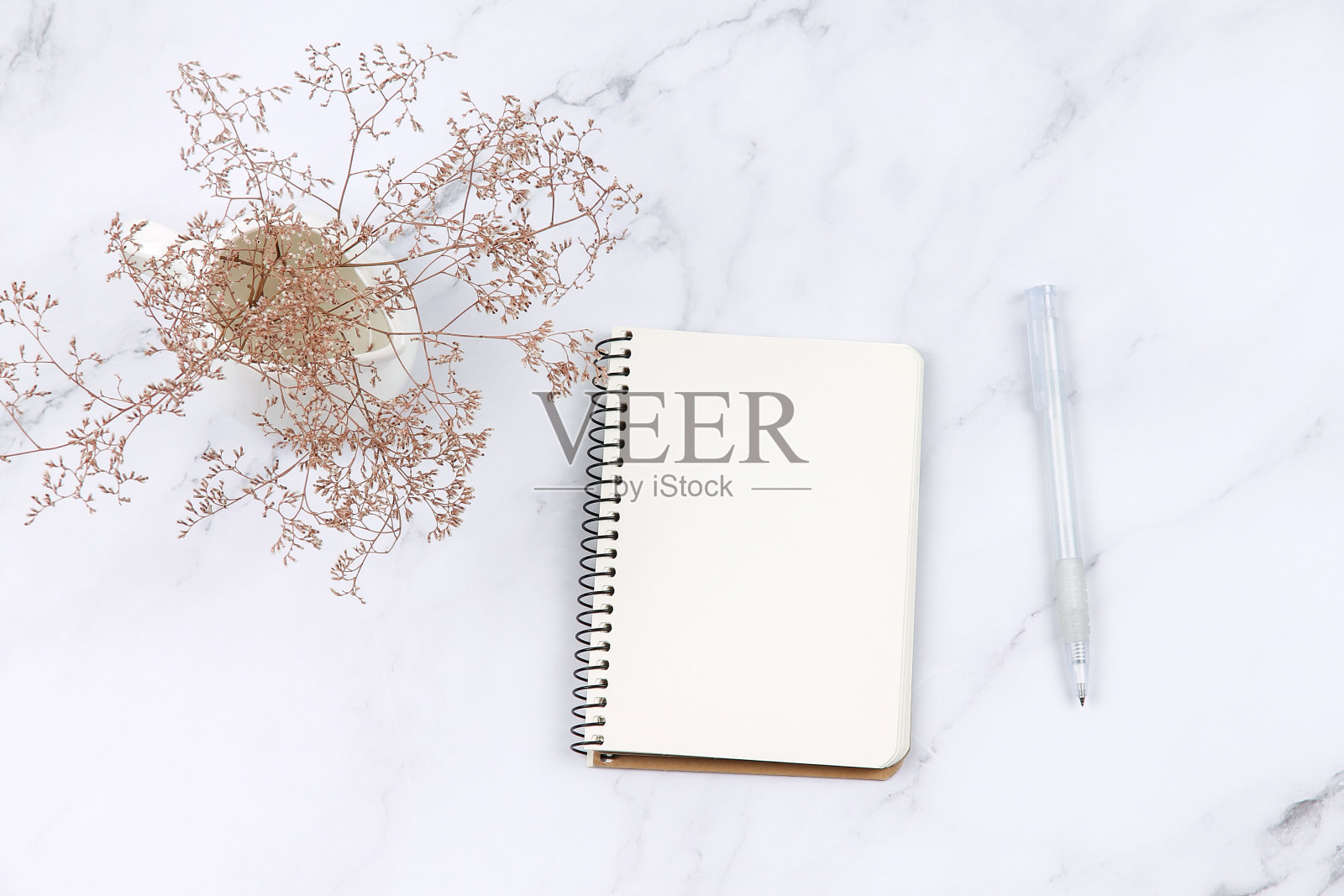 在大理石表面打开笔记本、植物和钢笔。照片摄影图片