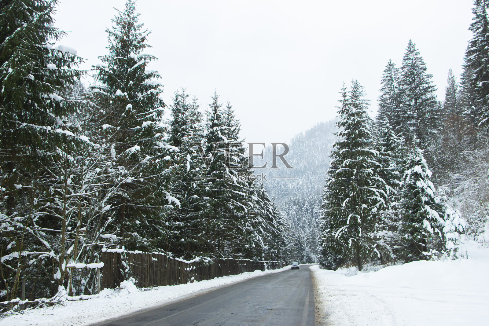 柏油路在白雪覆盖的森林之间。高山森林里的路照片摄影图片