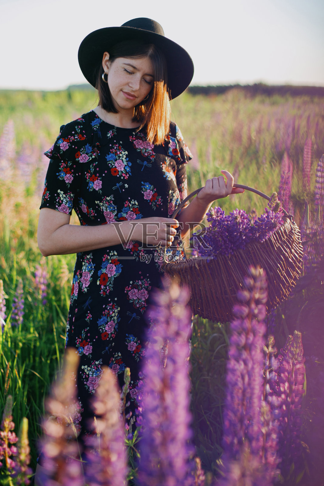 美丽的女人放松在阳光下的羽扇豆田与乡村篮子与鲜花。宁静的时刻照片摄影图片