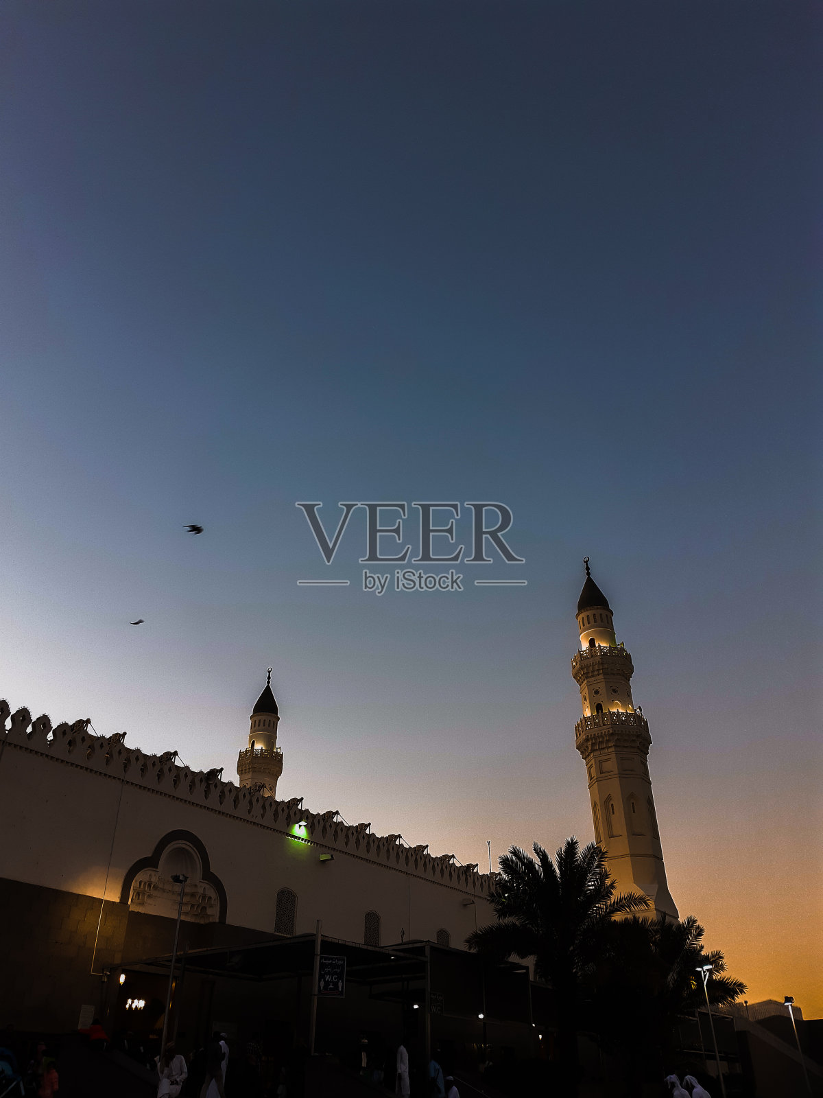 《暮光之城》照片摄影图片