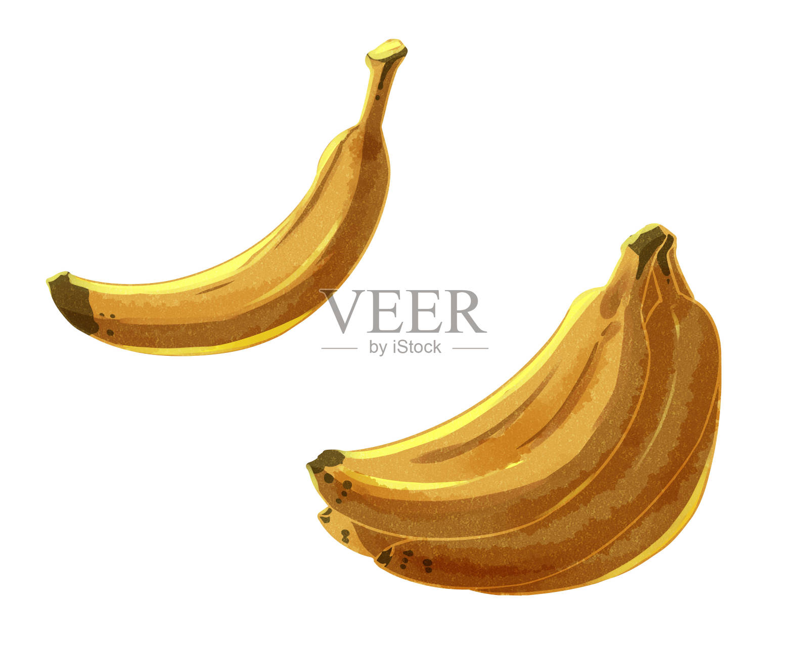 香蕉水彩风格插画图片素材