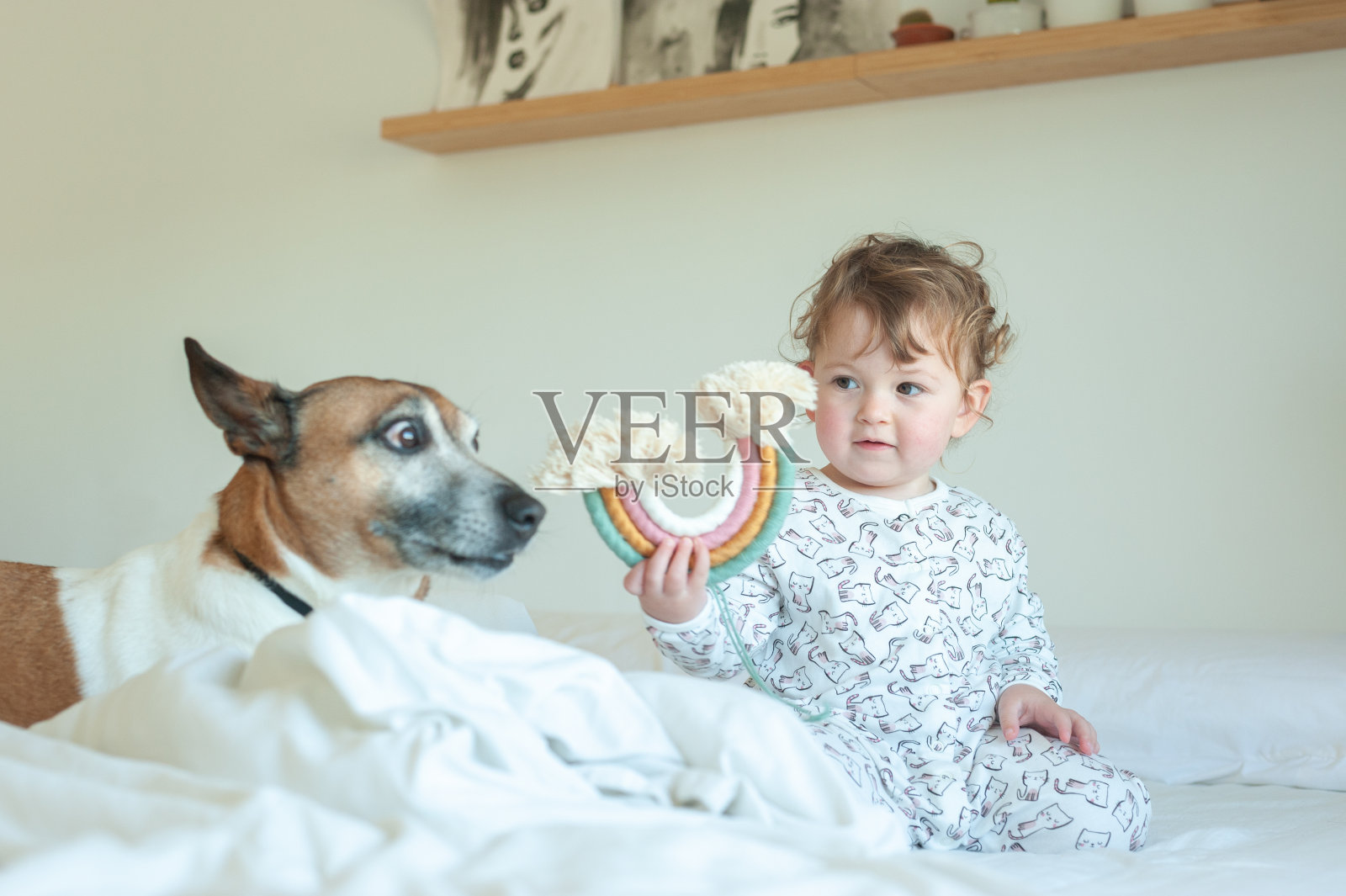 小女孩在和狗玩照片摄影图片