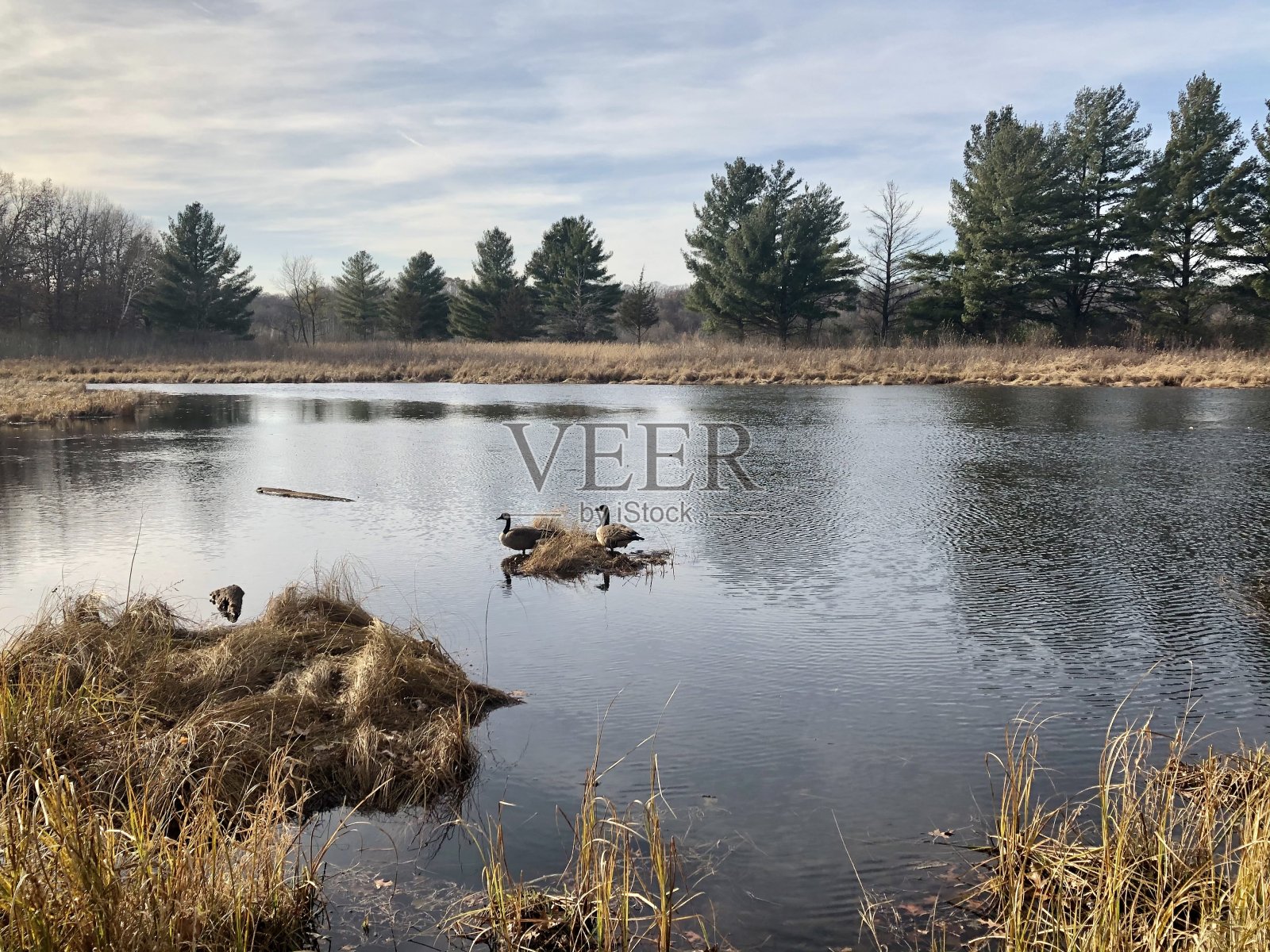 在休息的时候照片摄影图片