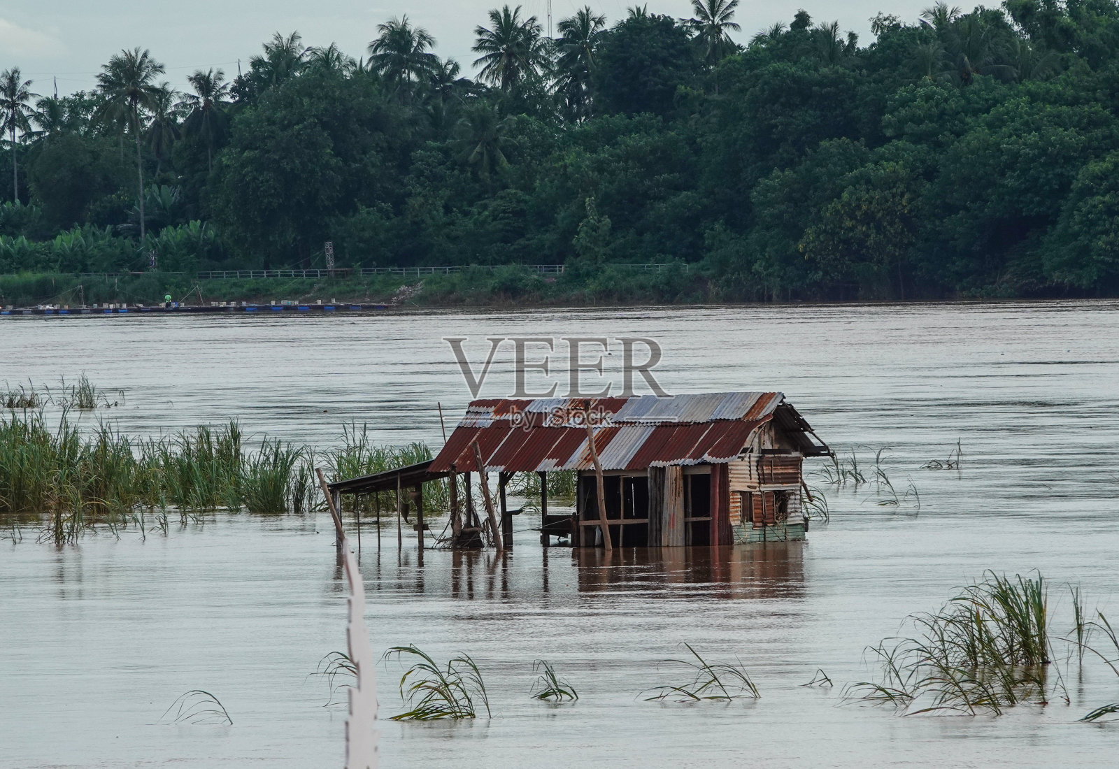 柬埔寨被洪水淹没的洞里萨河中被遗弃的小建筑。照片摄影图片