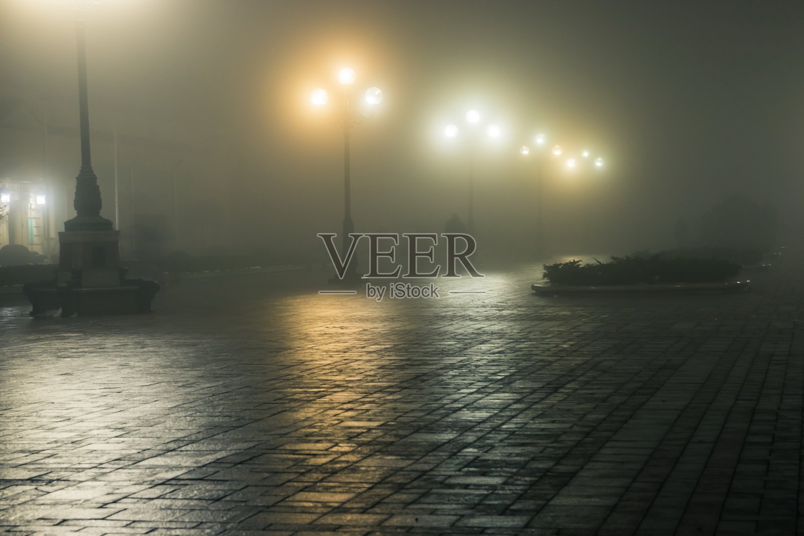 一个夜晚的冬天公园的主要小巷在雾中。在一个神话般的冬季城市公园的人行道上,在夜晚的雾中有长凳和灯笼。马林斯基公园美丽的雾天夜晚。基辅,乌克兰。照片摄影图片