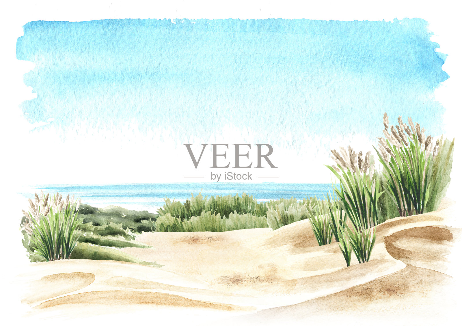 海岸边沙丘、海草、沙滩上的海天背景与复制空间。手绘水彩插图孤立的白色背景插画图片素材