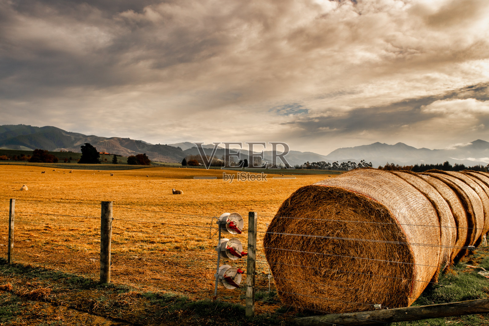 坎特伯雷,杰拉尔丁附近的乡村照片摄影图片