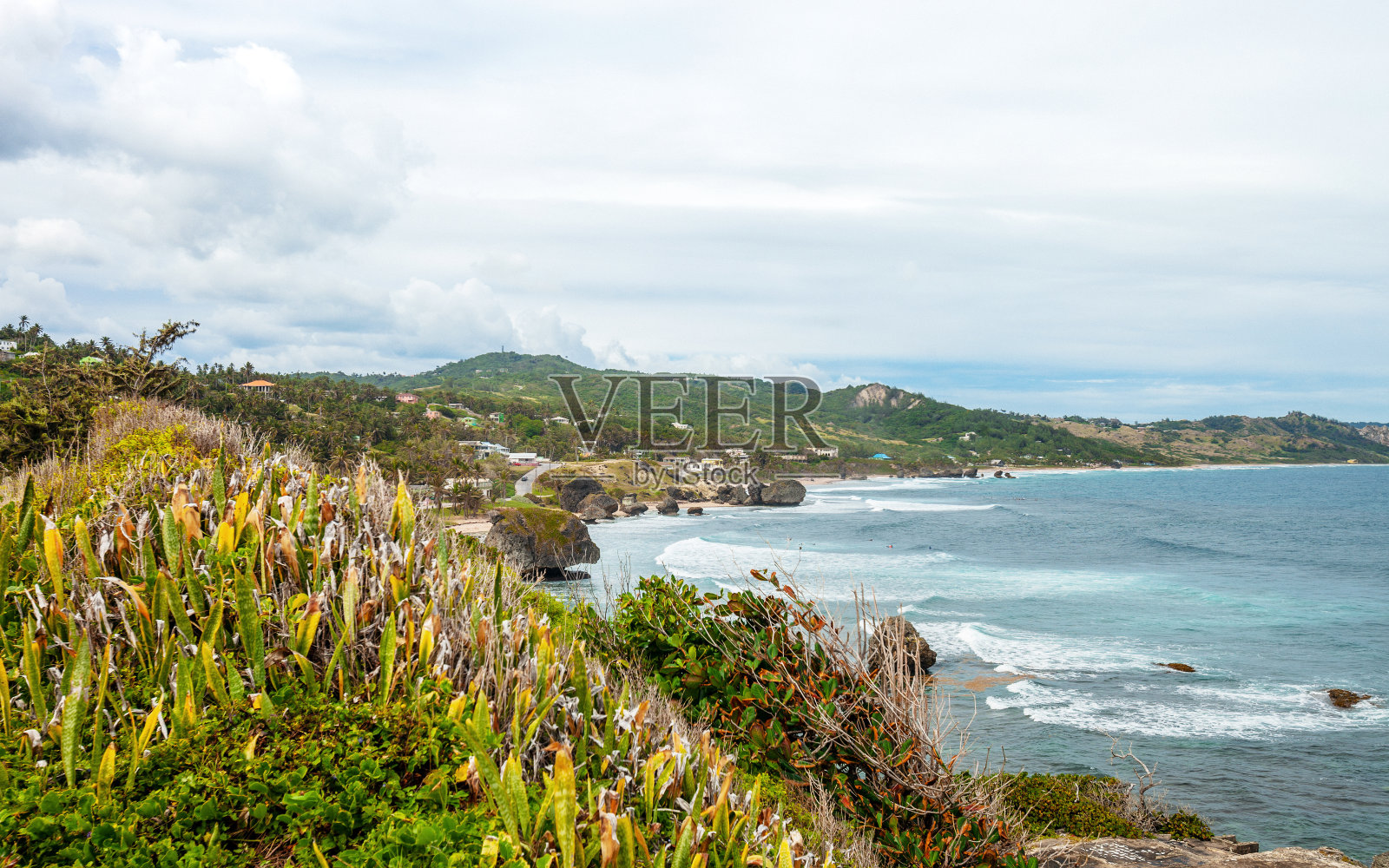 加勒比海岸-芭丝谢芭,巴巴多斯照片摄影图片
