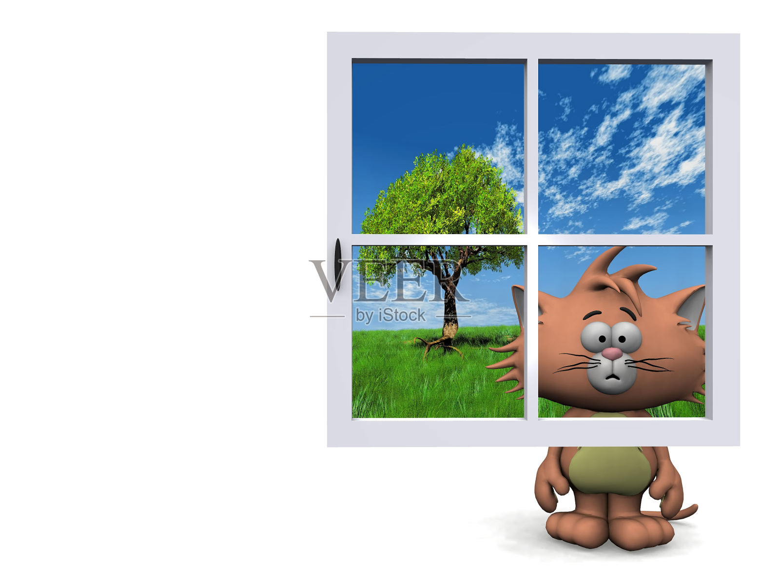 蓝色窗户后面的猫照片摄影图片