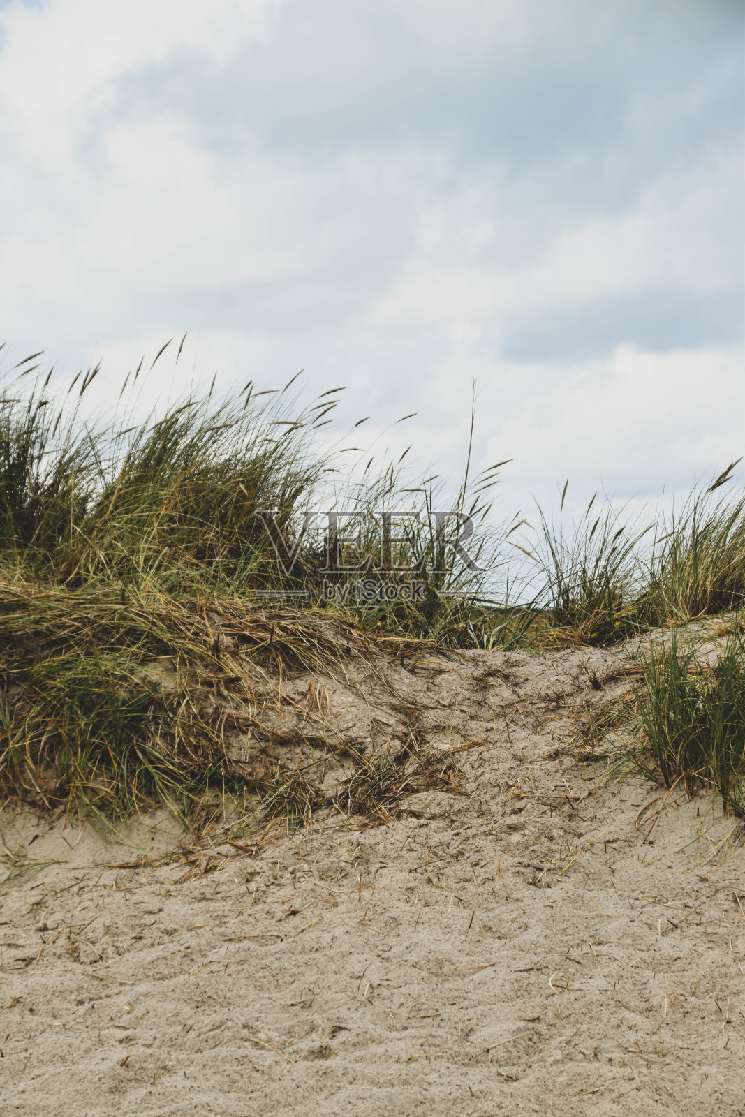 斯卡根的沙丘照片摄影图片