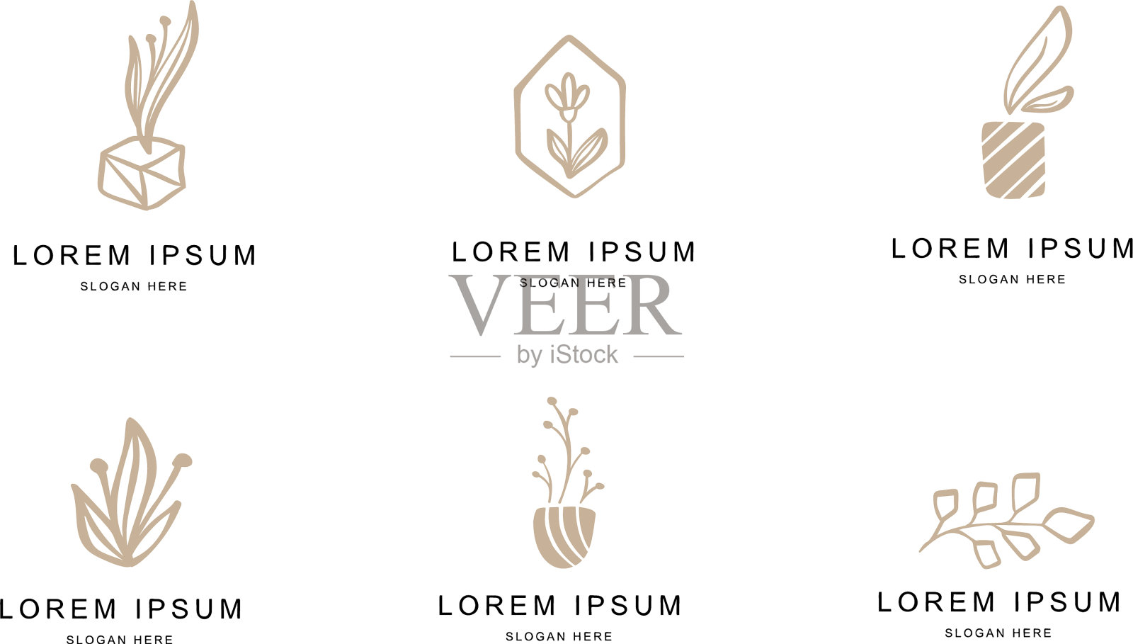 抽象花卉标志或标志模板集图标素材