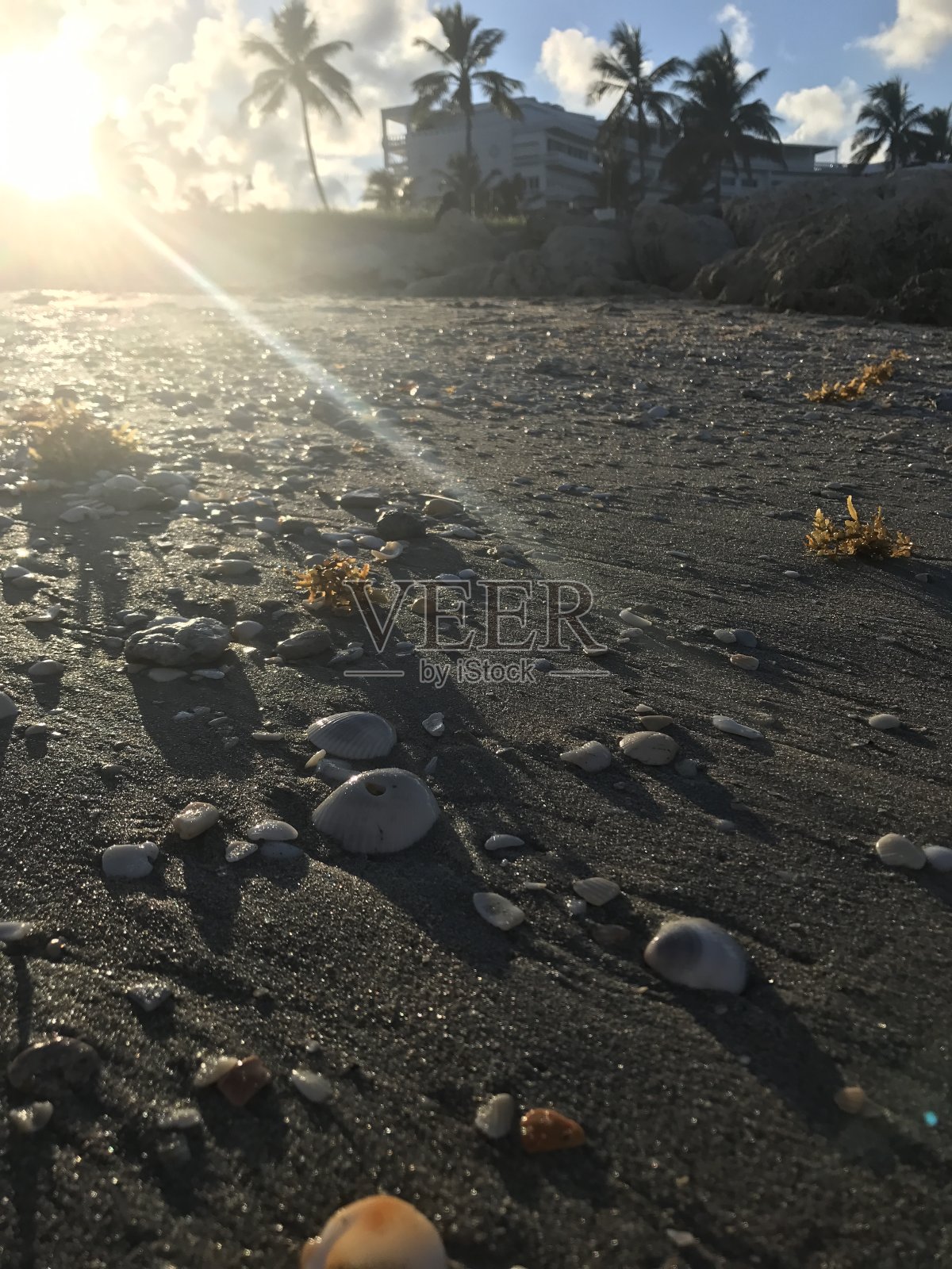 海边的岩石照片摄影图片