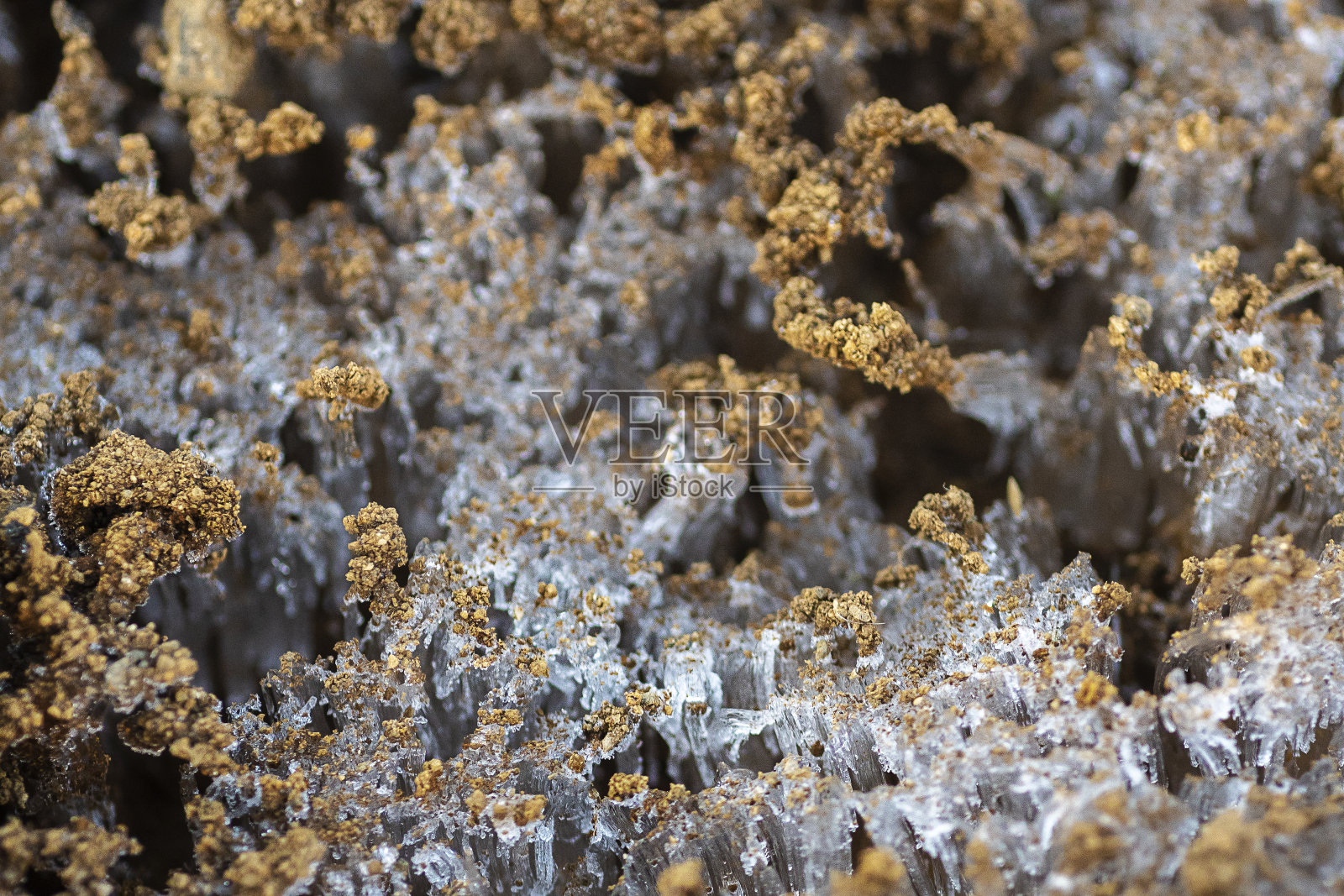 冰针照片摄影图片