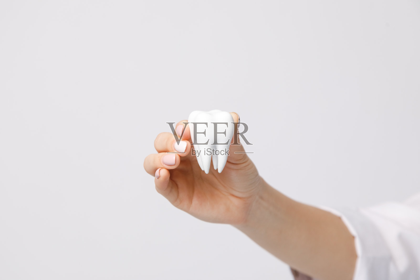 一位年轻的女牙医拿着一颗模型牙。光背景照片摄影图片