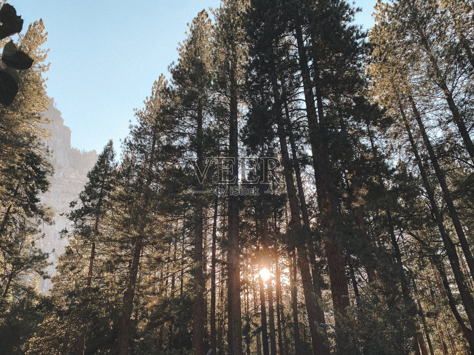 约塞米蒂国家公园照片摄影图片