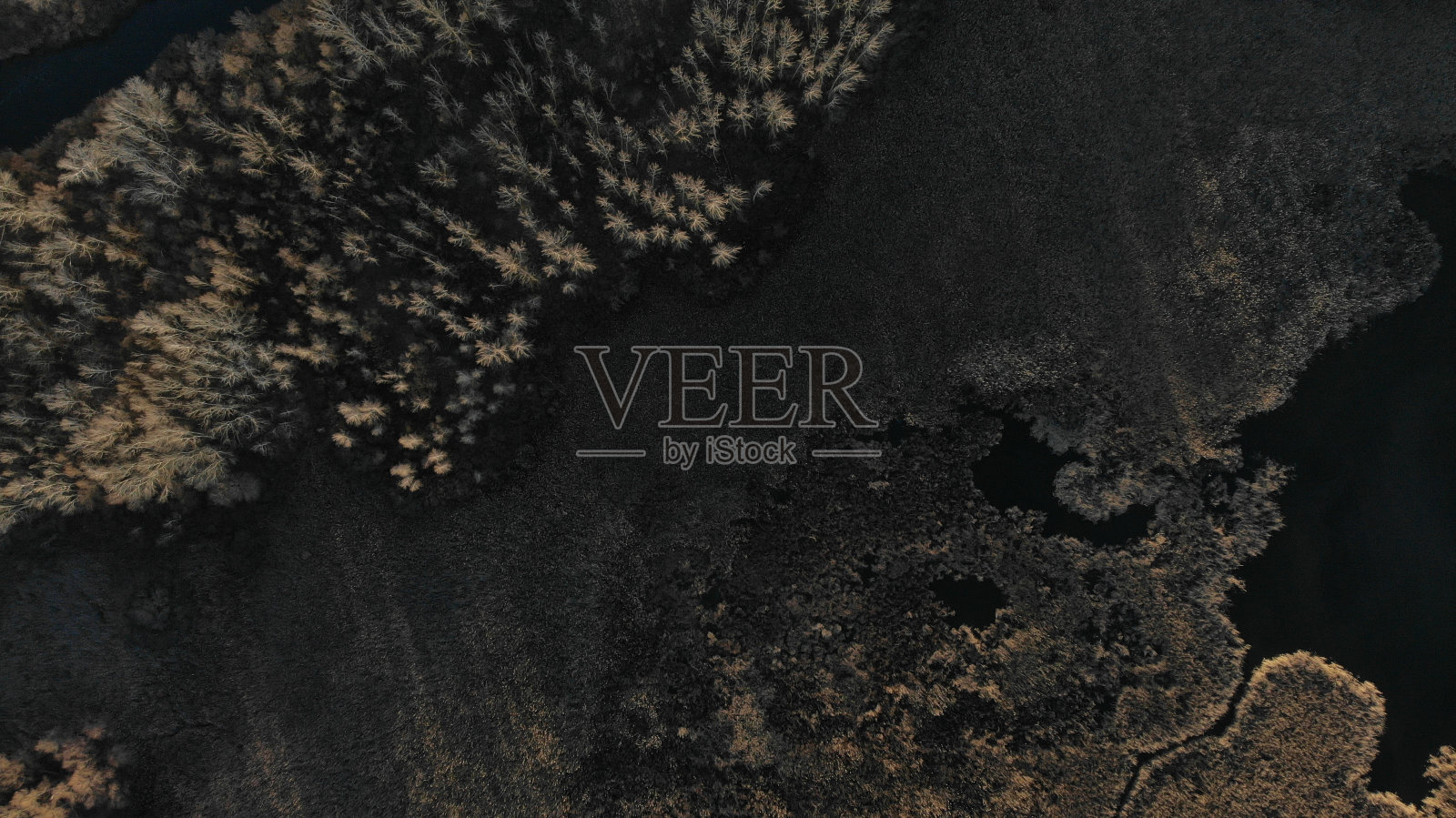 顶部鸟瞰图干燥和光秃秃的树木和干草在河岸在秋天河口。健康的环境。乌克兰照片摄影图片